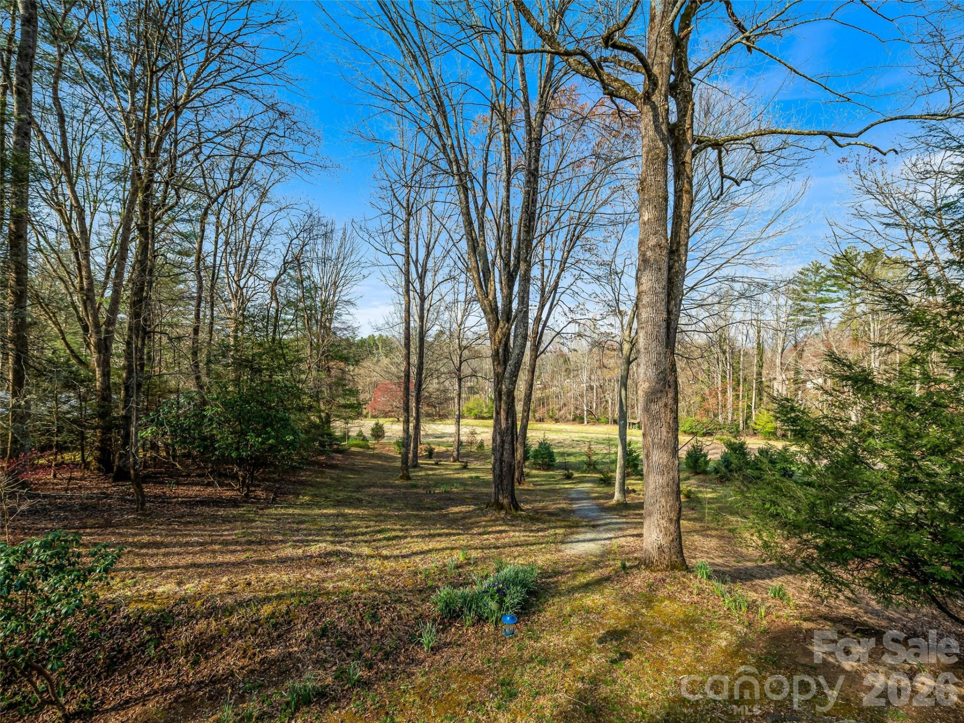 1663 Glen Cannon Drive - Photo 39