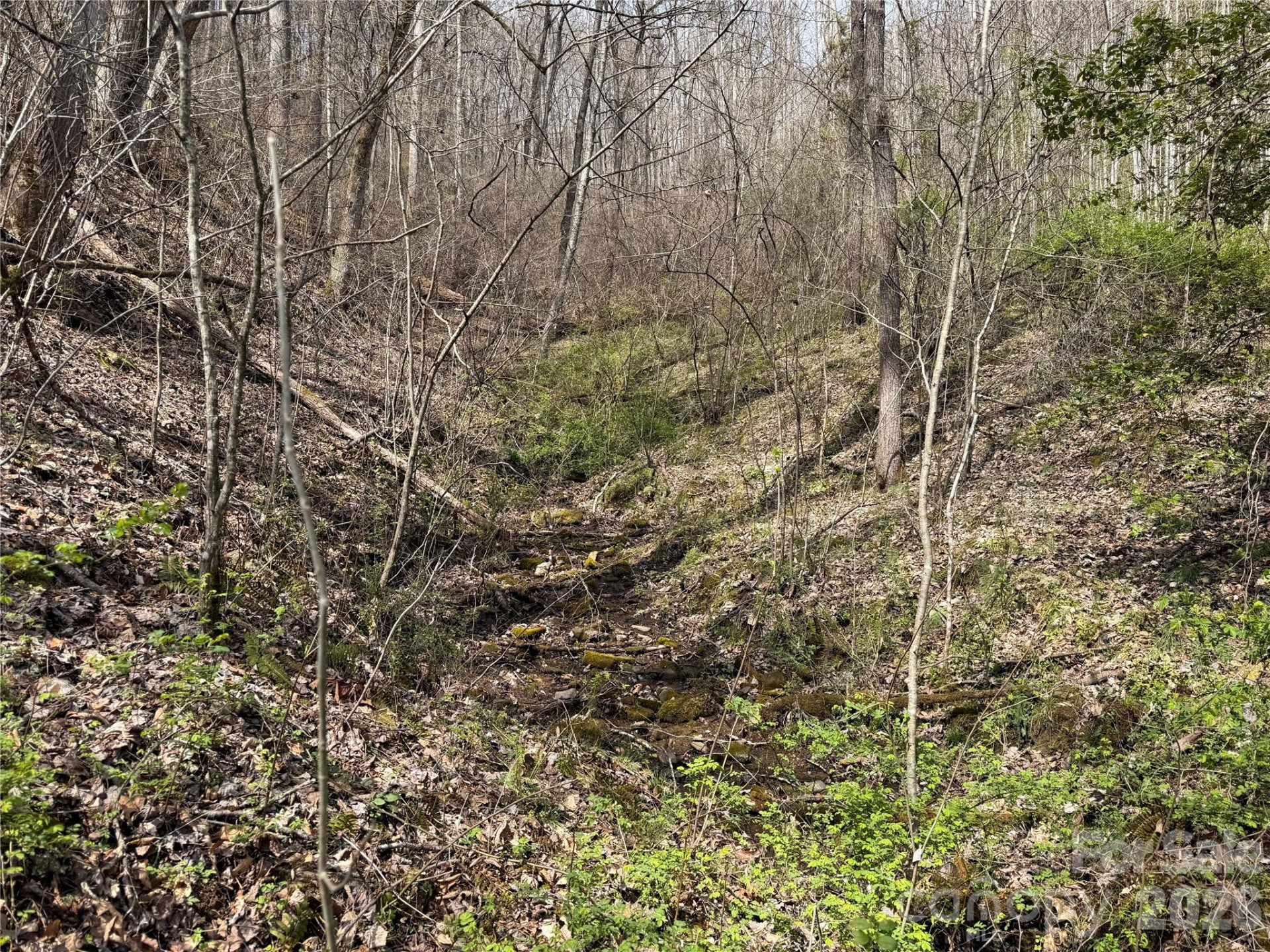 99999 Bumgarner Cemetery Road #4,5,6 - Photo 11