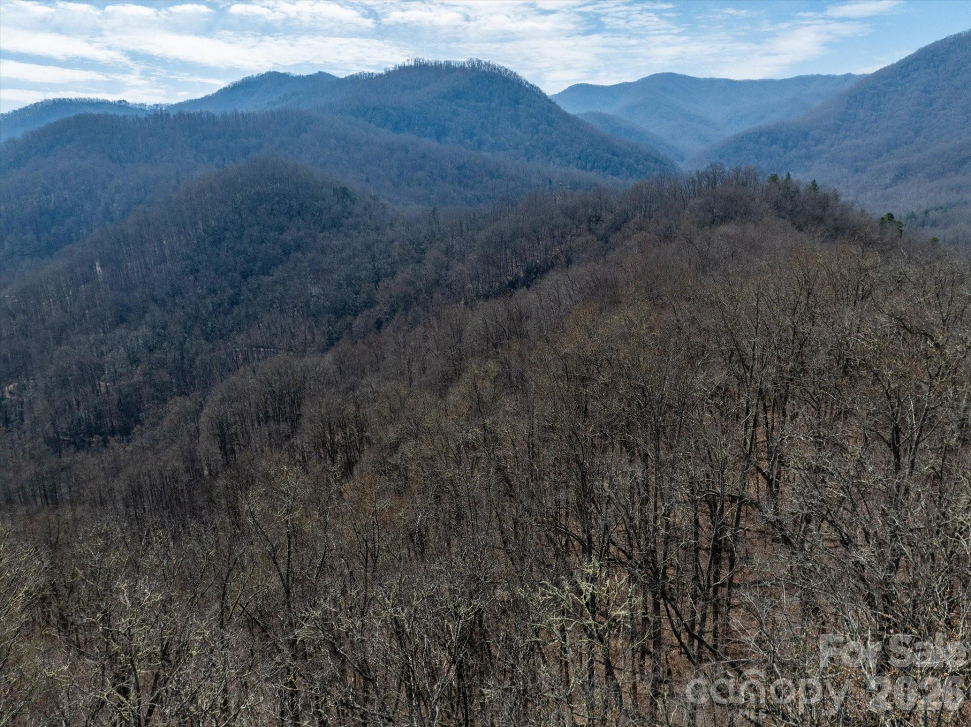 99999 Bumgarner Cemetery Road #4,5,6 - Photo 12