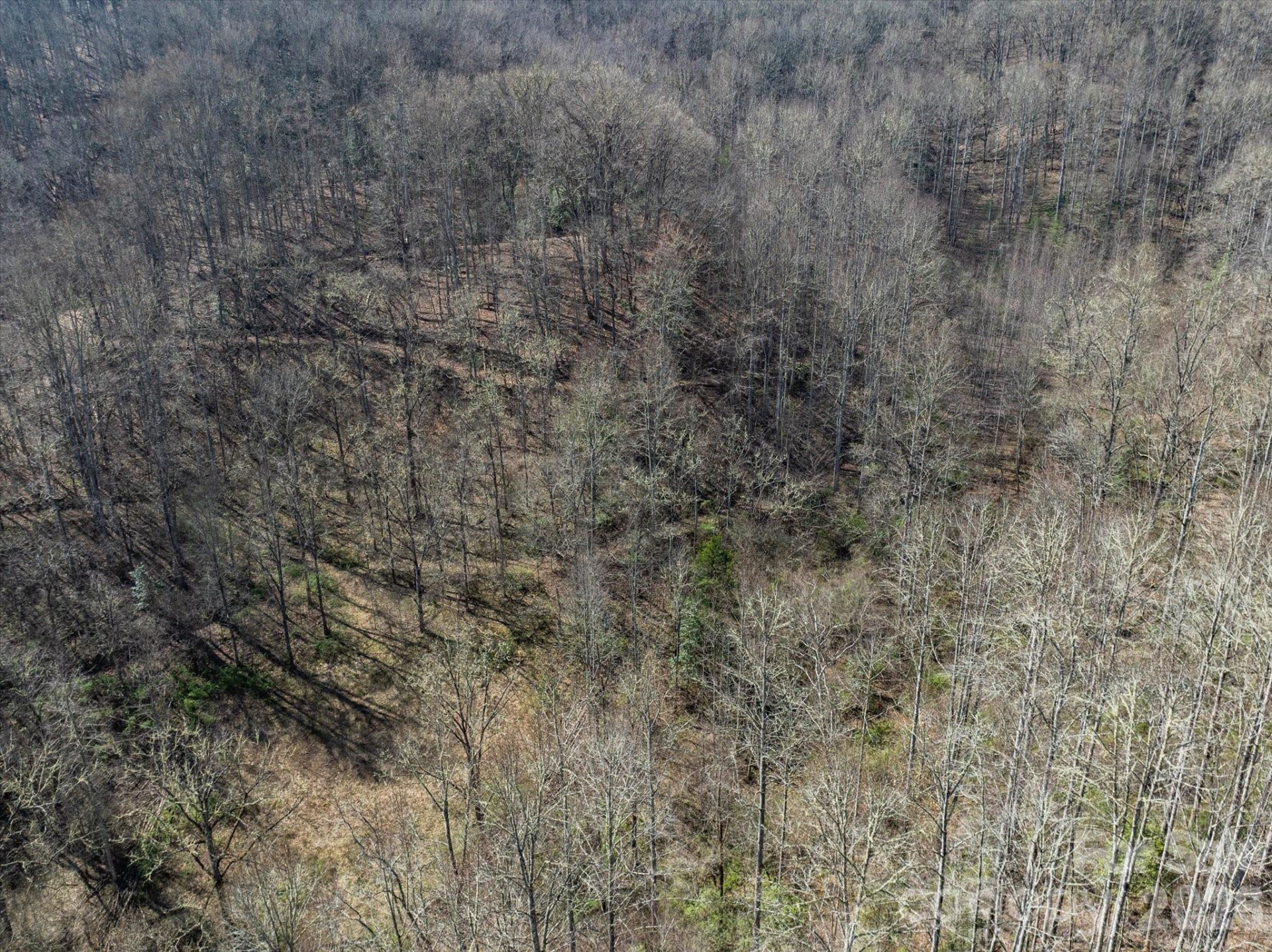 99999 Bumgarner Cemetery Road #4,5,6 - Photo 15