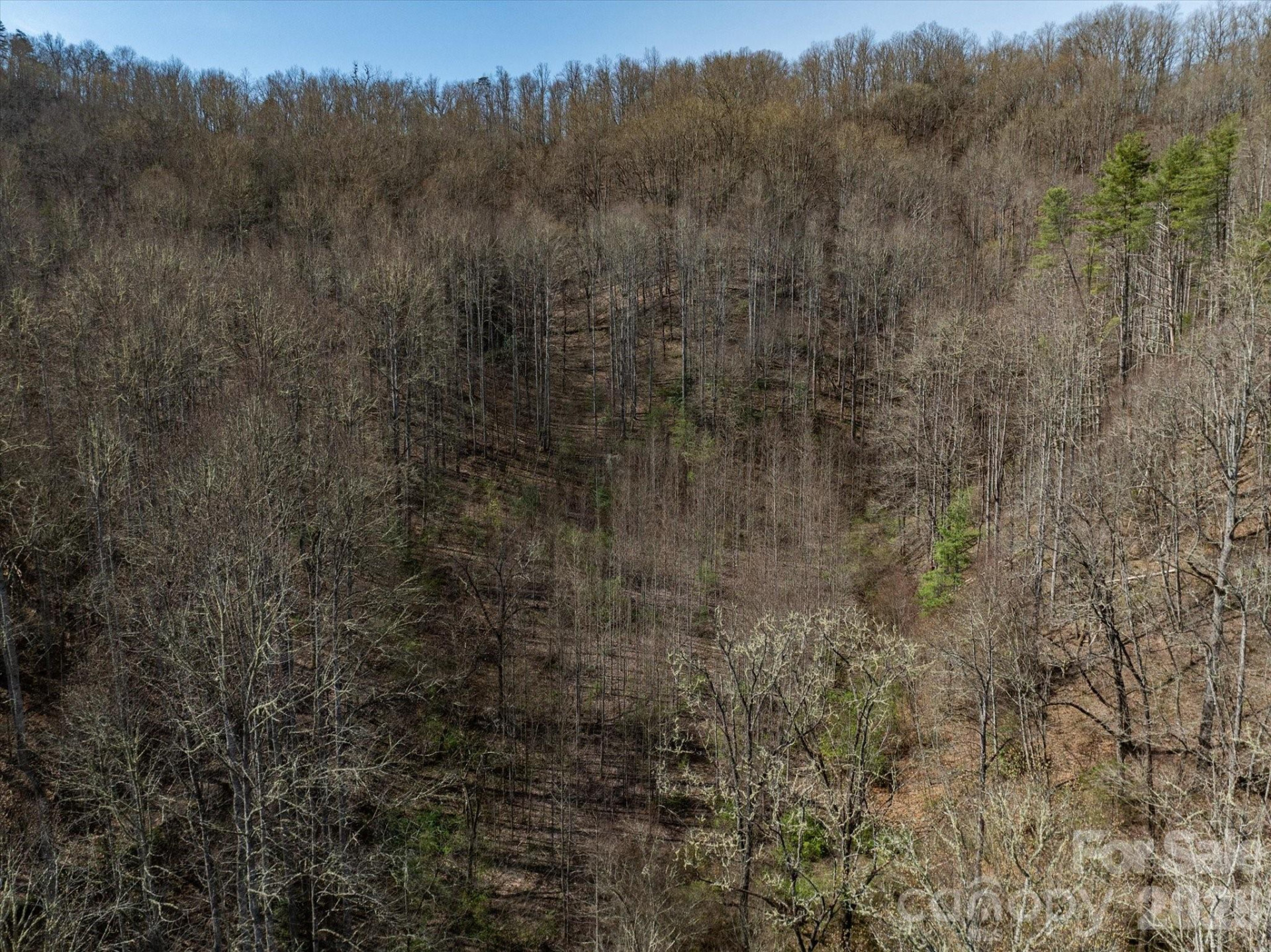 99999 Bumgarner Cemetery Road #4,5,6 - Photo 16