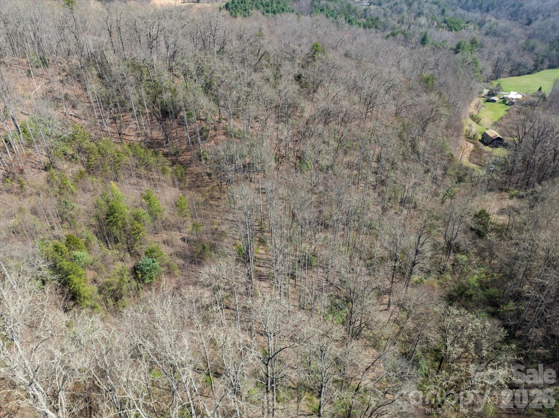 99999 Bumgarner Cemetery Road #4,5,6 - Photo 17