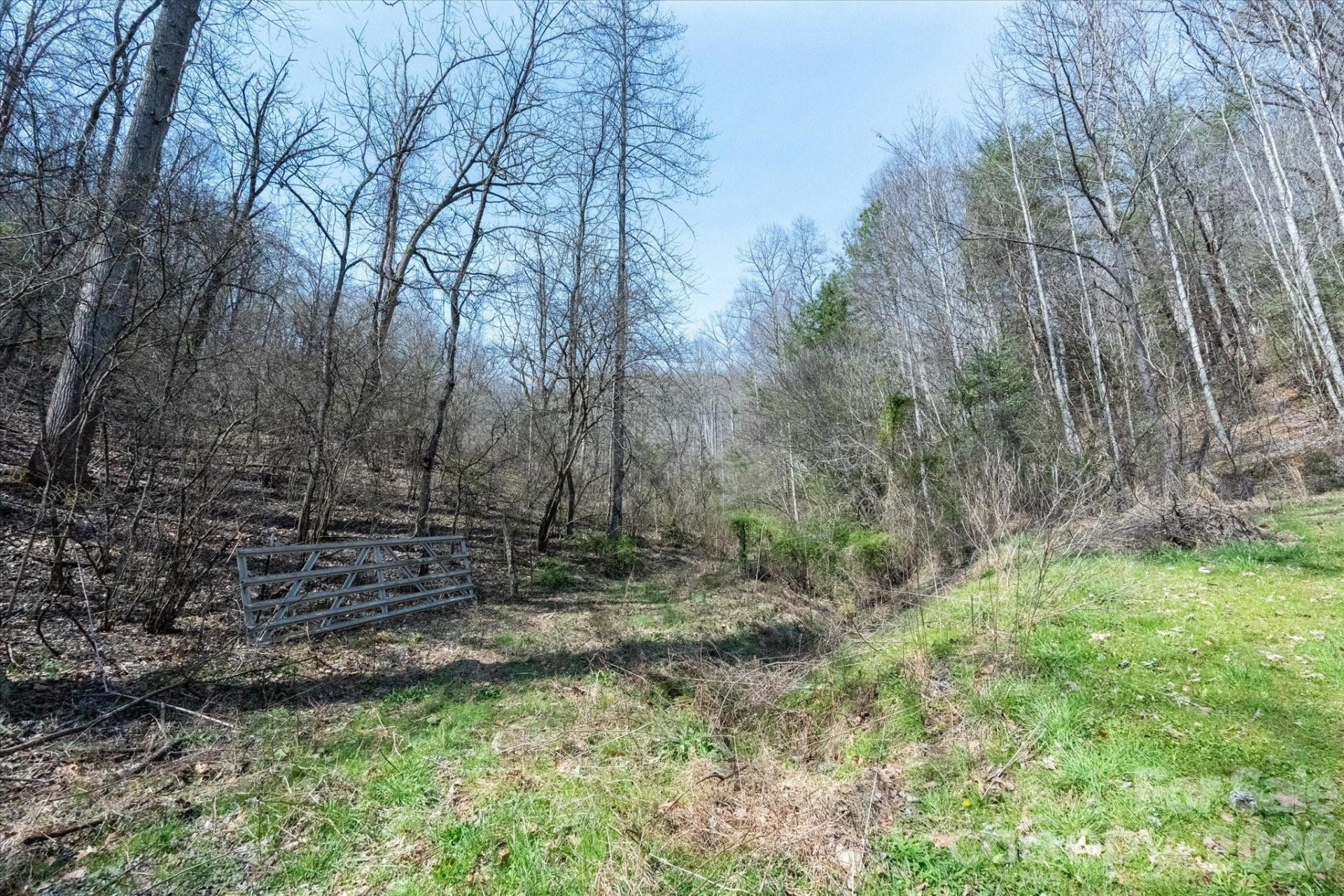 99999 Bumgarner Cemetery Road #4,5,6 - Photo 5