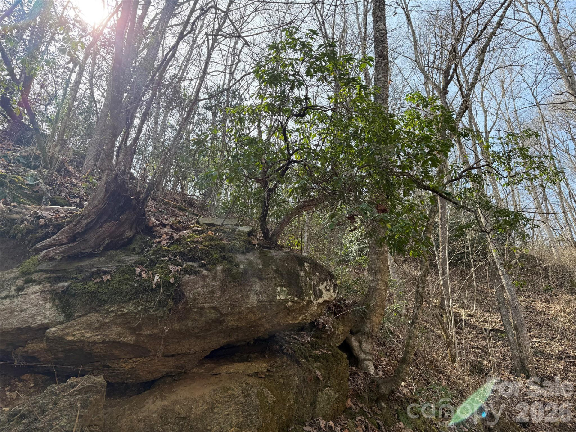 99999 Bumgarner Cemetery Road #4,5,6 - Photo 6