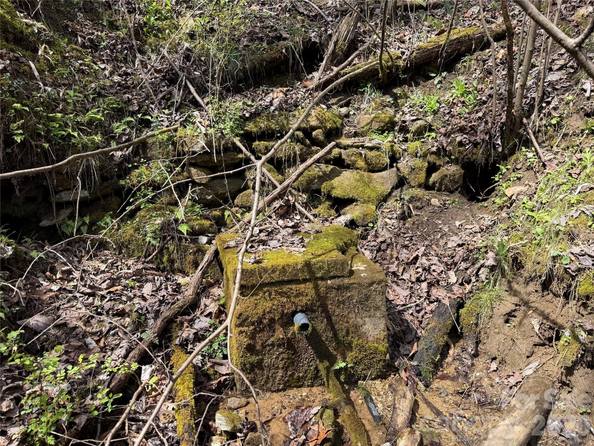 99999 Bumgarner Cemetery Road #4,5,6 - Photo 7