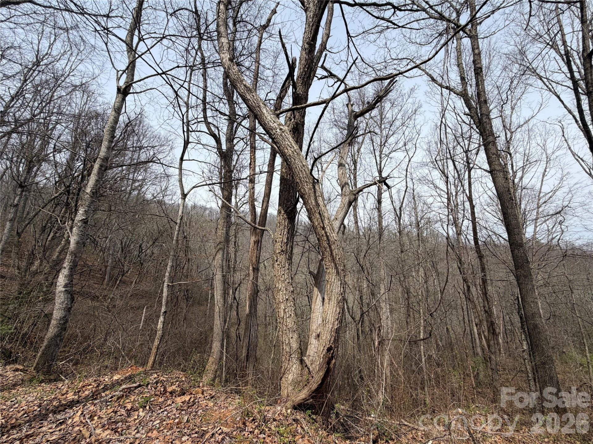 99999 Bumgarner Cemetery Road #4,5,6 - Photo 8