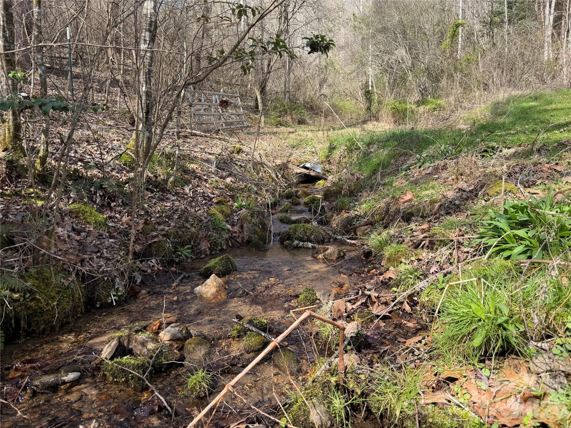 99999 Bumgarner Cemetery Road #4,5,6 - Photo 9