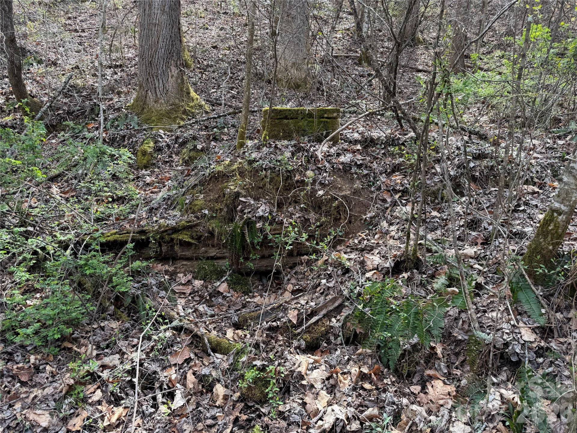 99999 Bumgarner Cemetery Road #4,5,6 - Photo 10