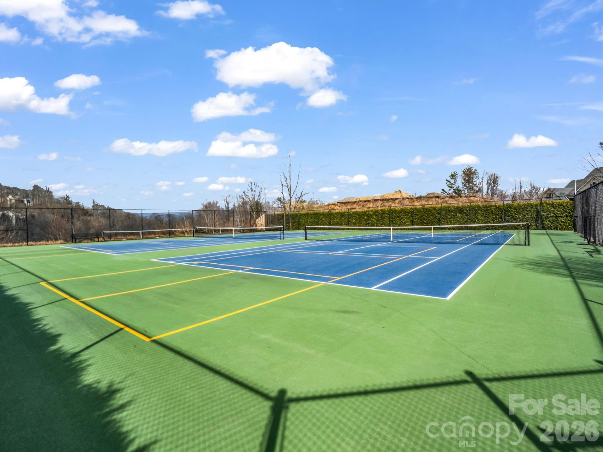 29 Spring Heights Court - Photo 47