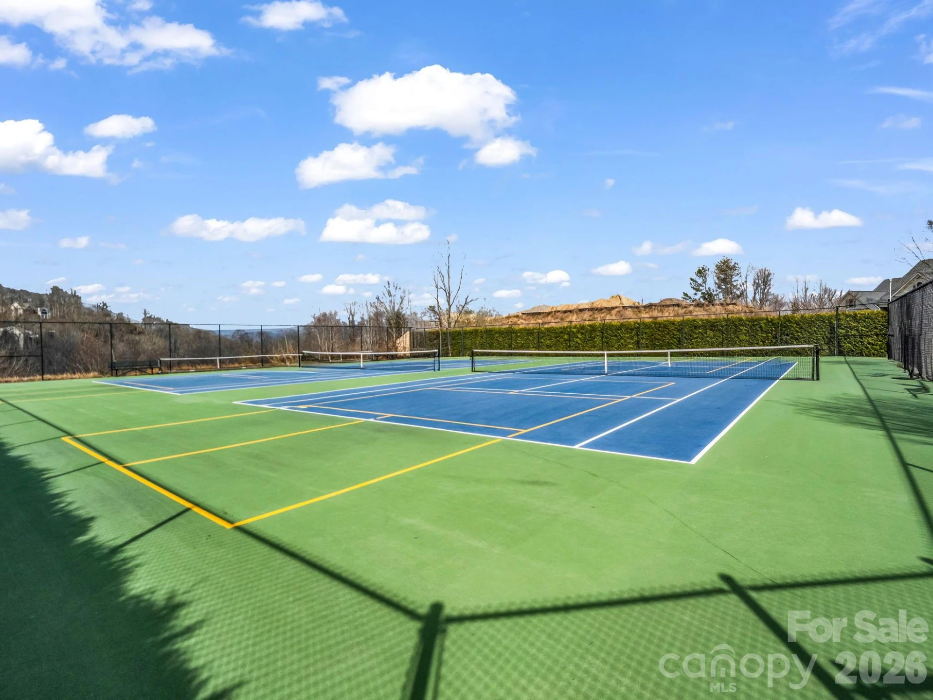 29 Spring Heights Court - Photo 47