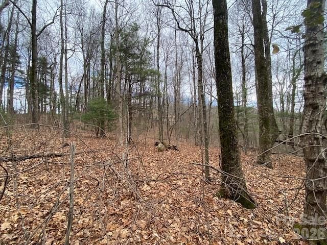 395 Chestnut Ridges Road, Hendersonville, NC, 28739