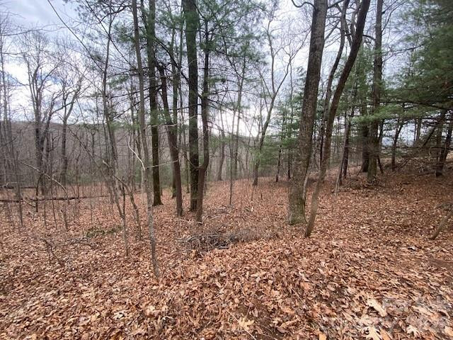 395 Chestnut Ridges Road #14 - Photo 2