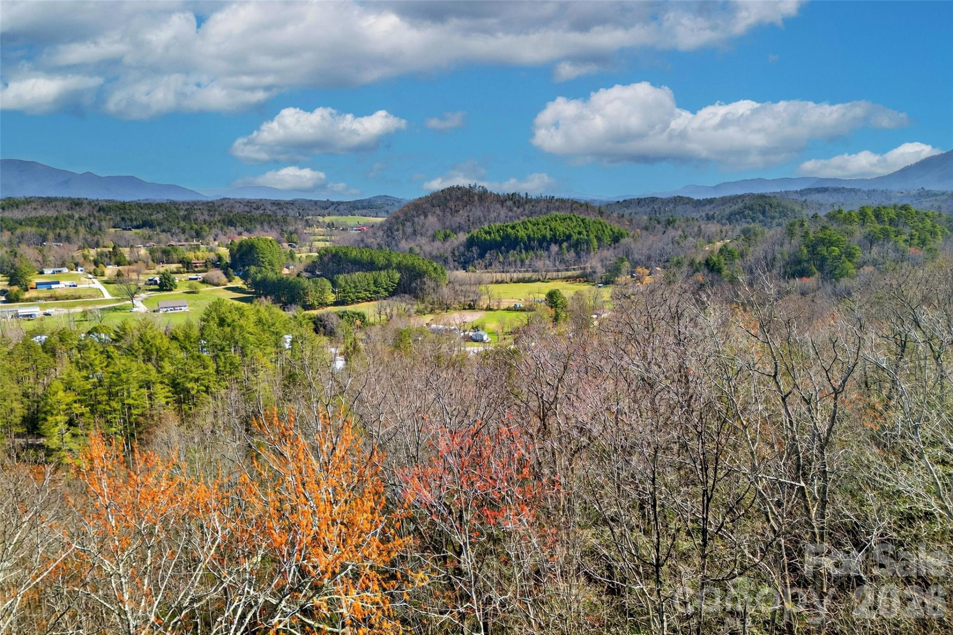 301 Black Pine Drive