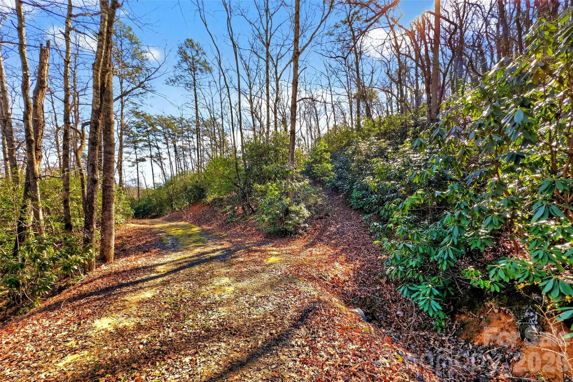 301 Black Pine Drive - Photo 2