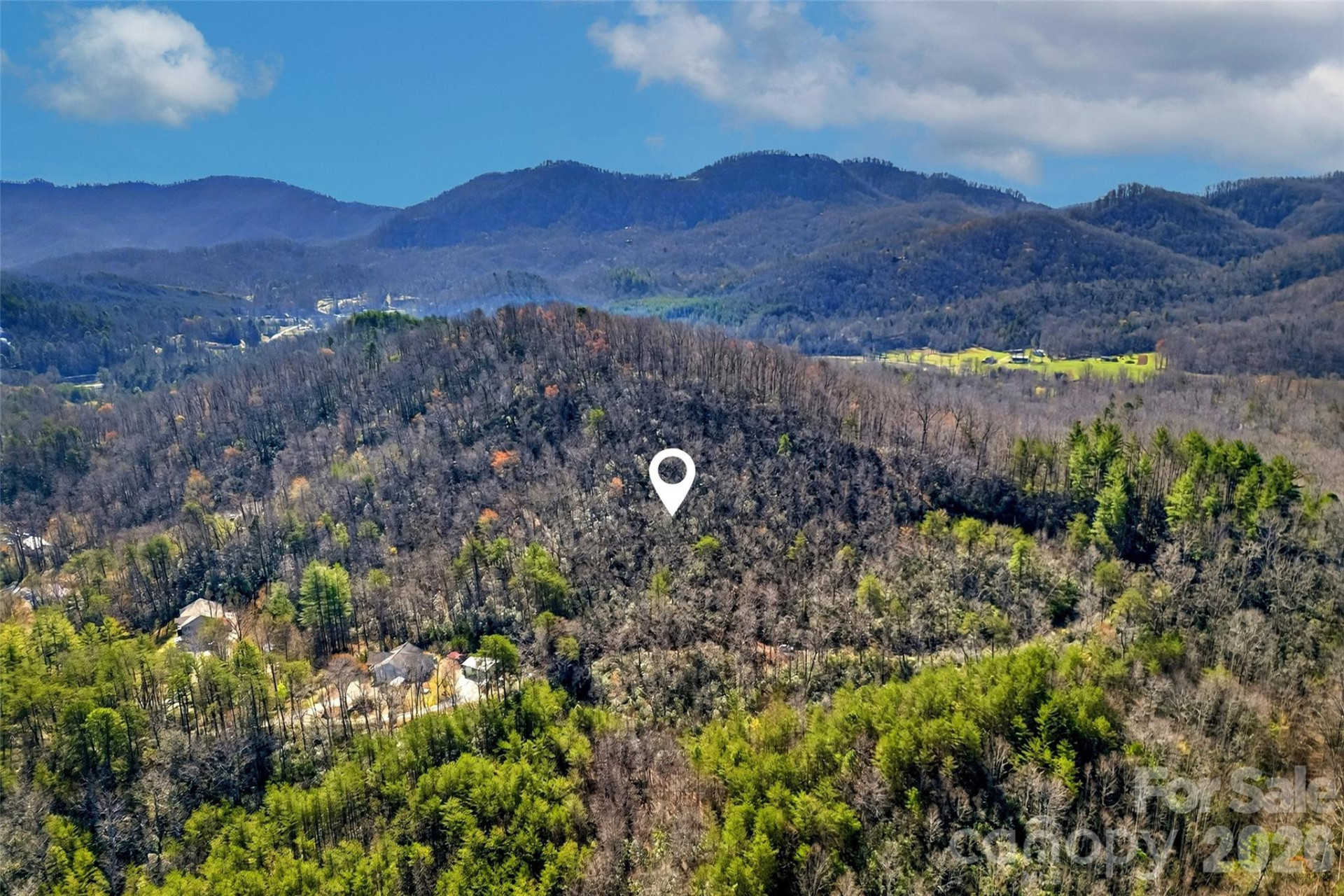 301 Black Pine Drive - Photo 13