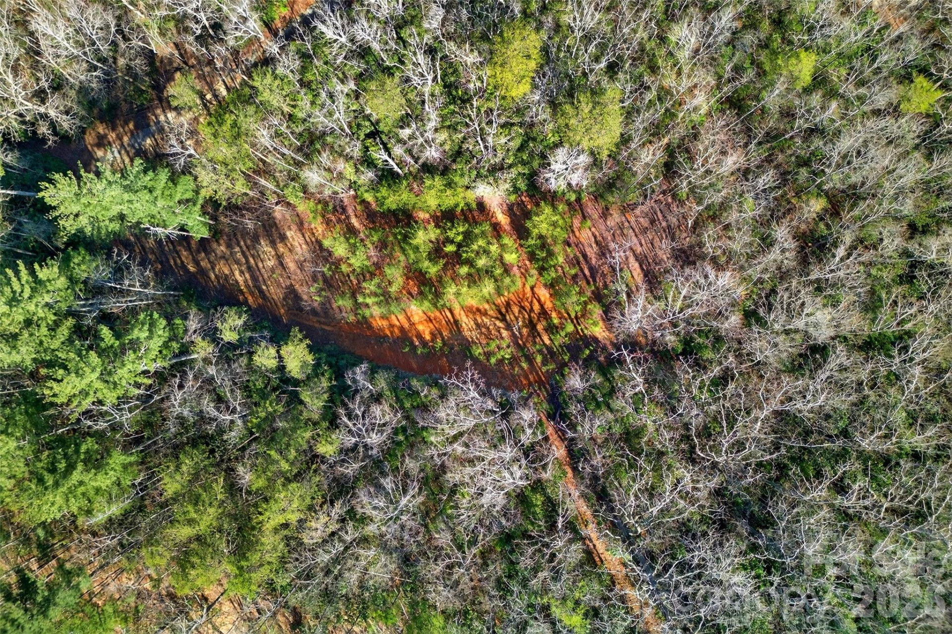 301 Black Pine Drive - Photo 14