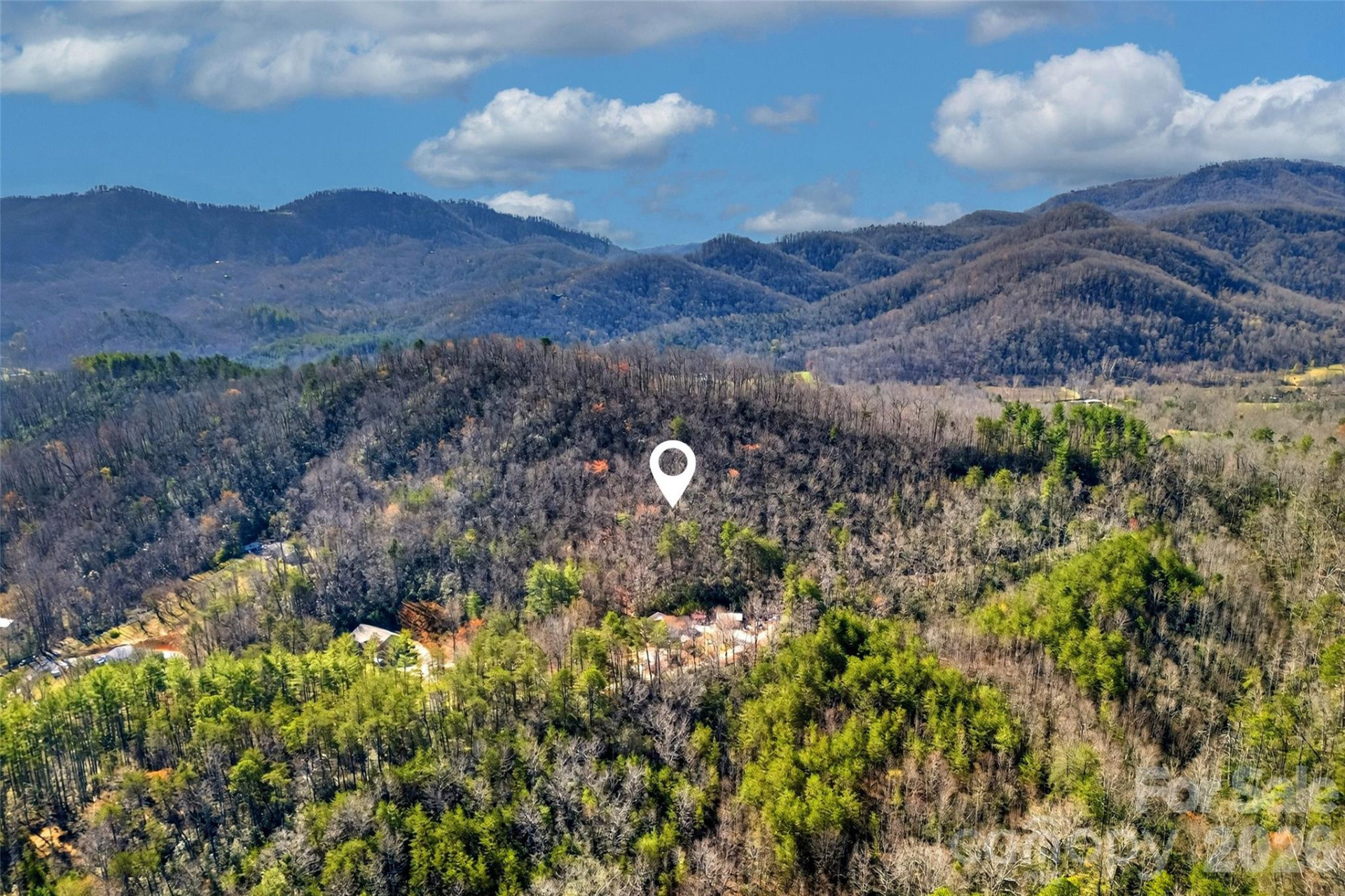 301 Black Pine Drive - Photo 15