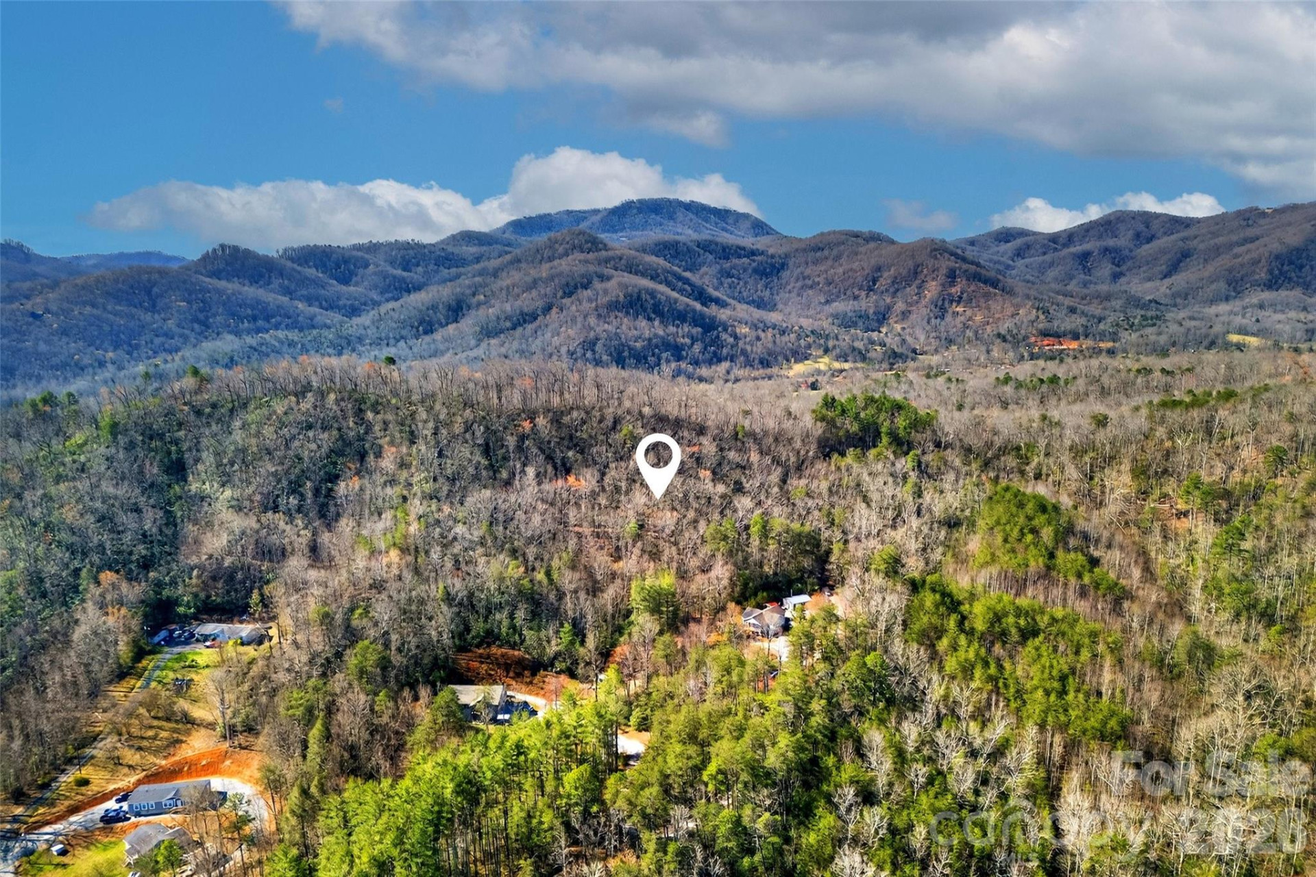 301 Black Pine Drive - Photo 16