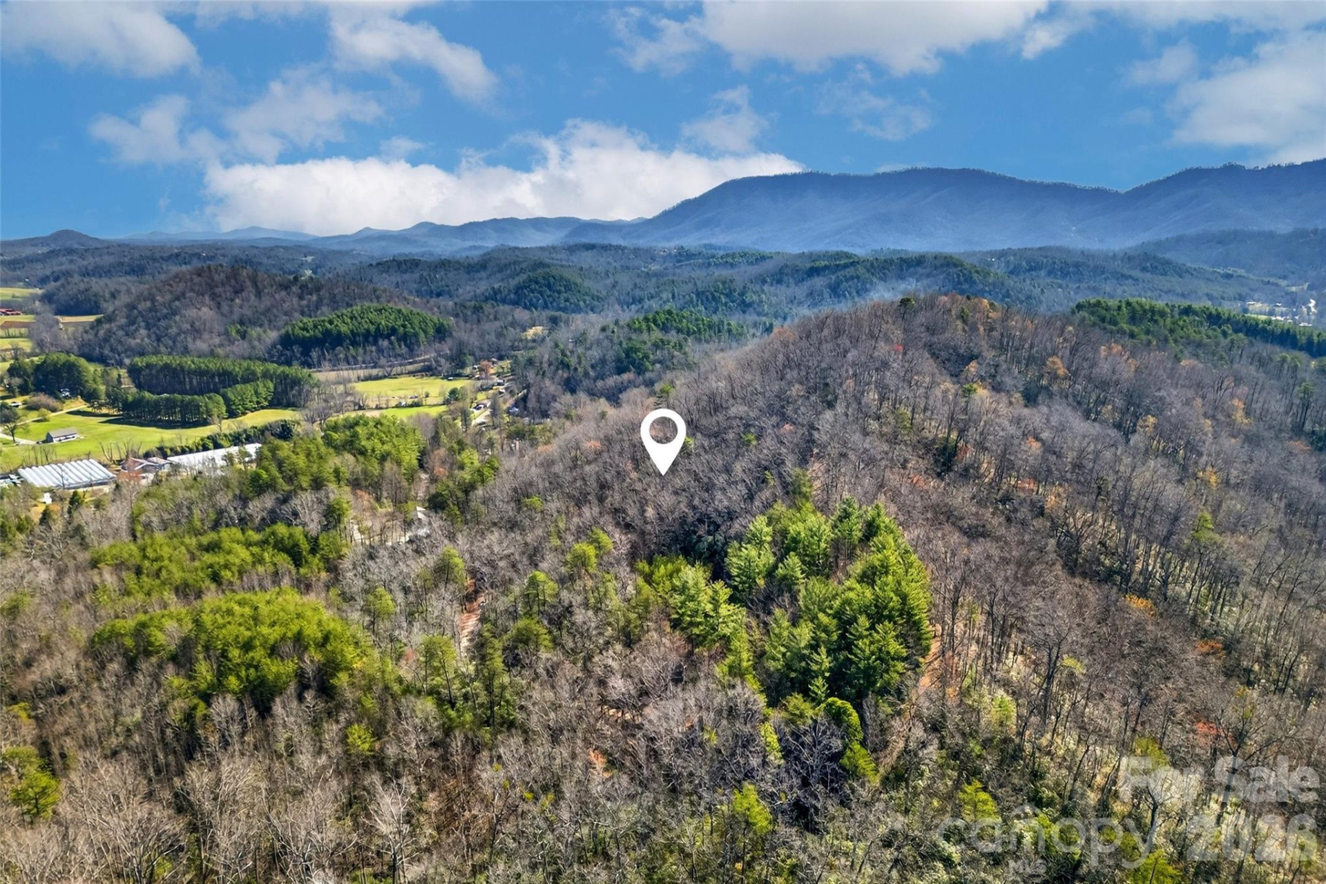 301 Black Pine Drive - Photo 19