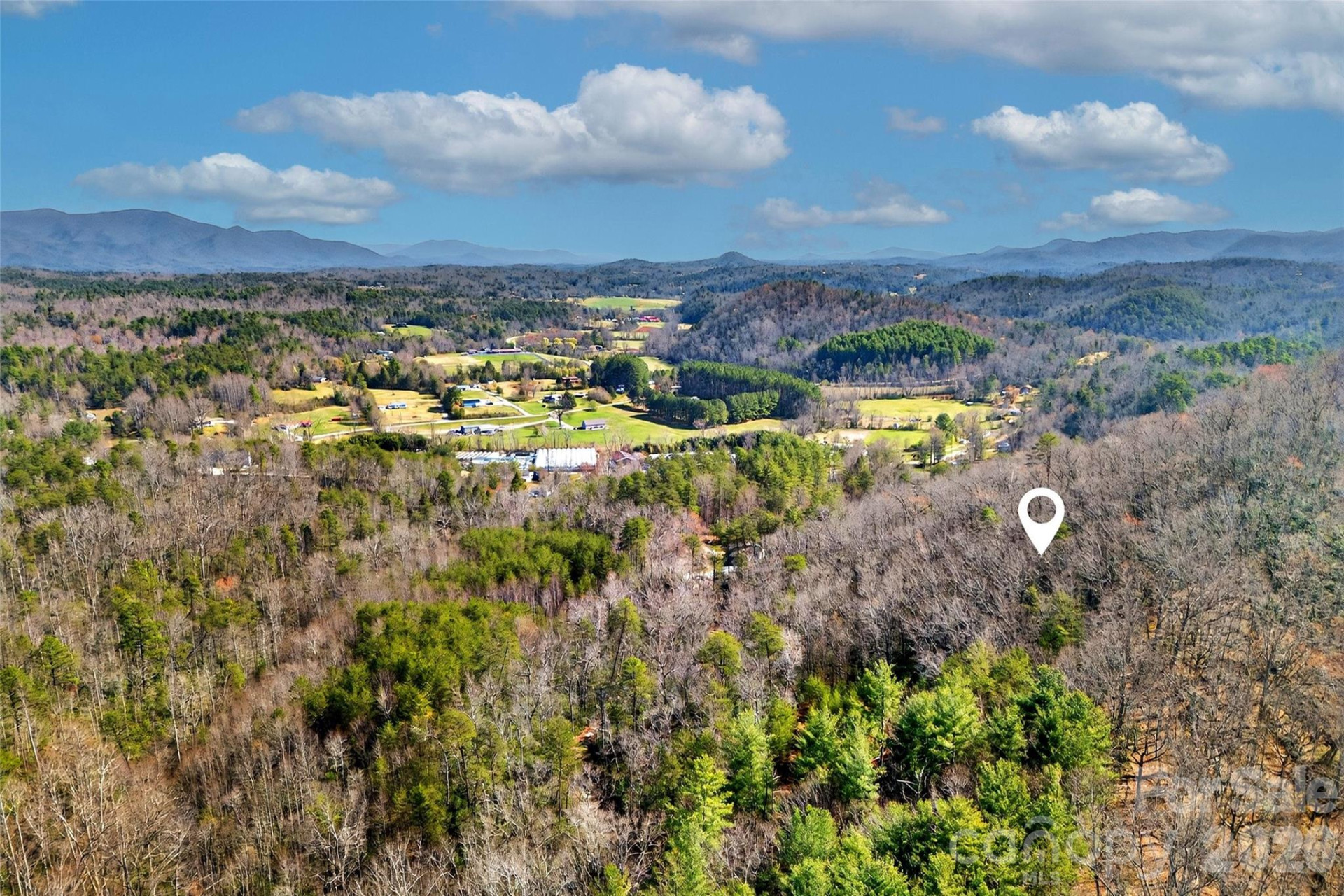 301 Black Pine Drive - Photo 20