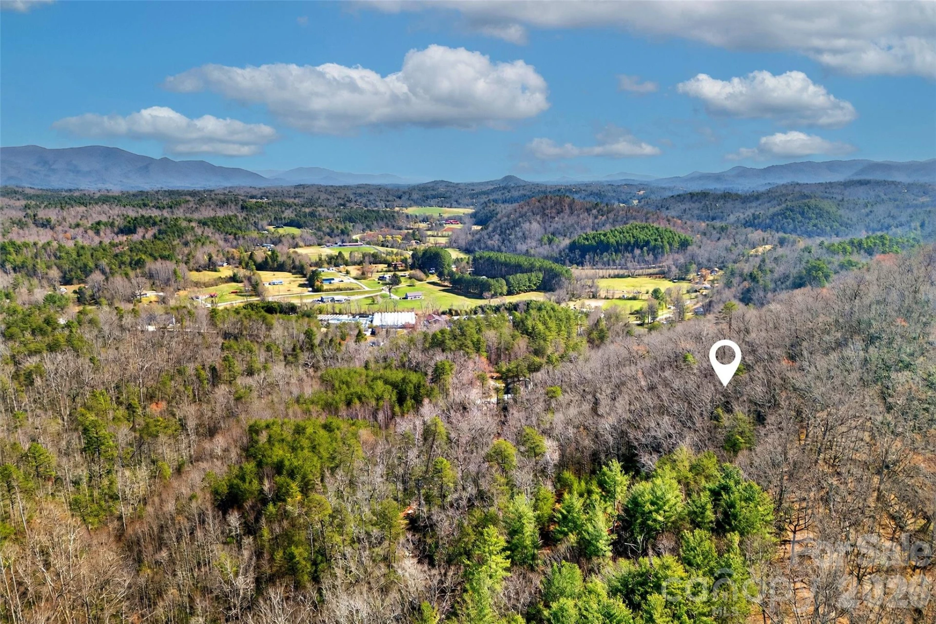 301 Black Pine Drive - Photo 20