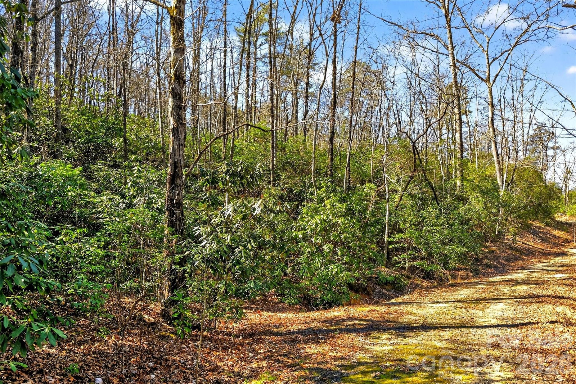 301 Black Pine Drive - Photo 21