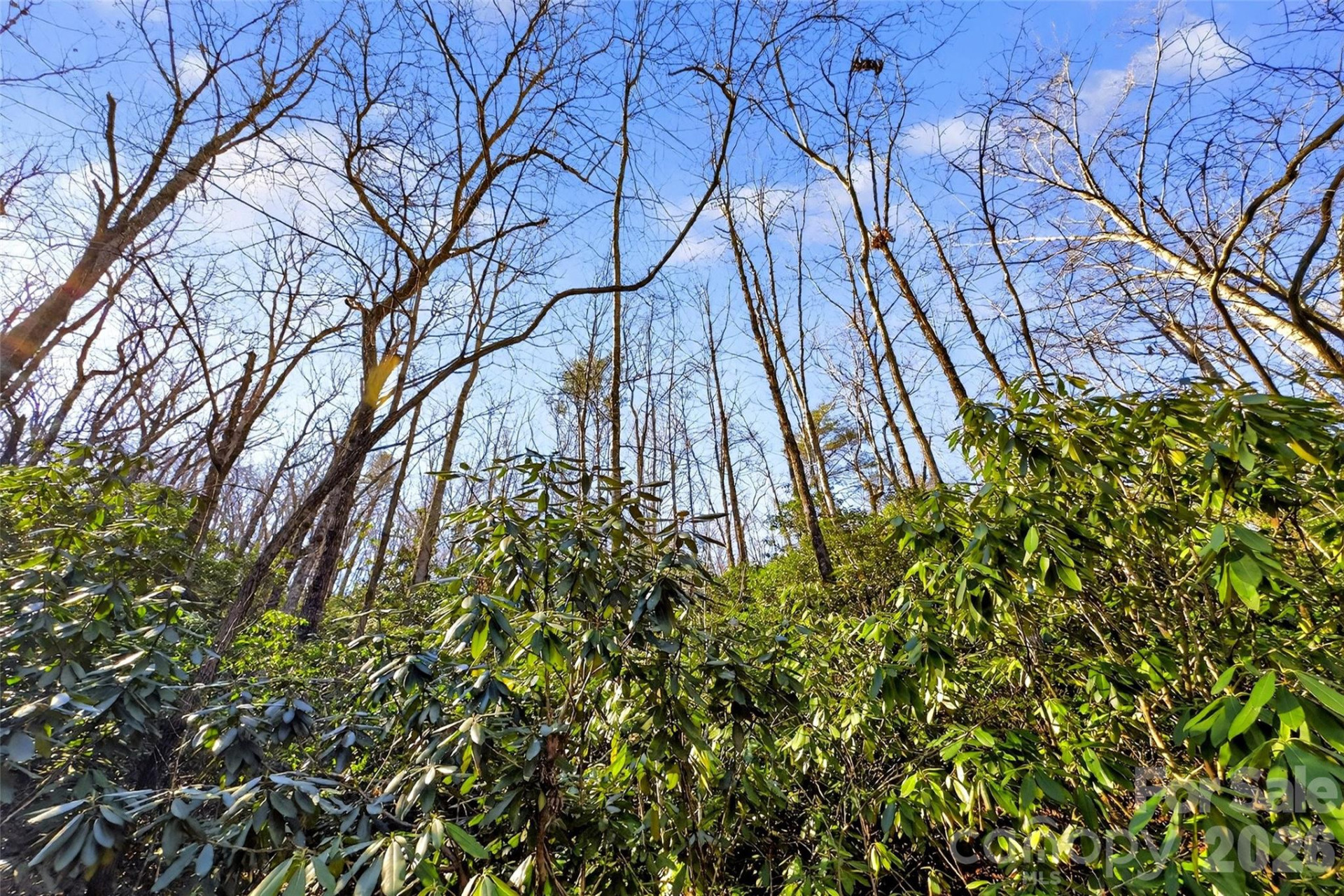 301 Black Pine Drive - Photo 22