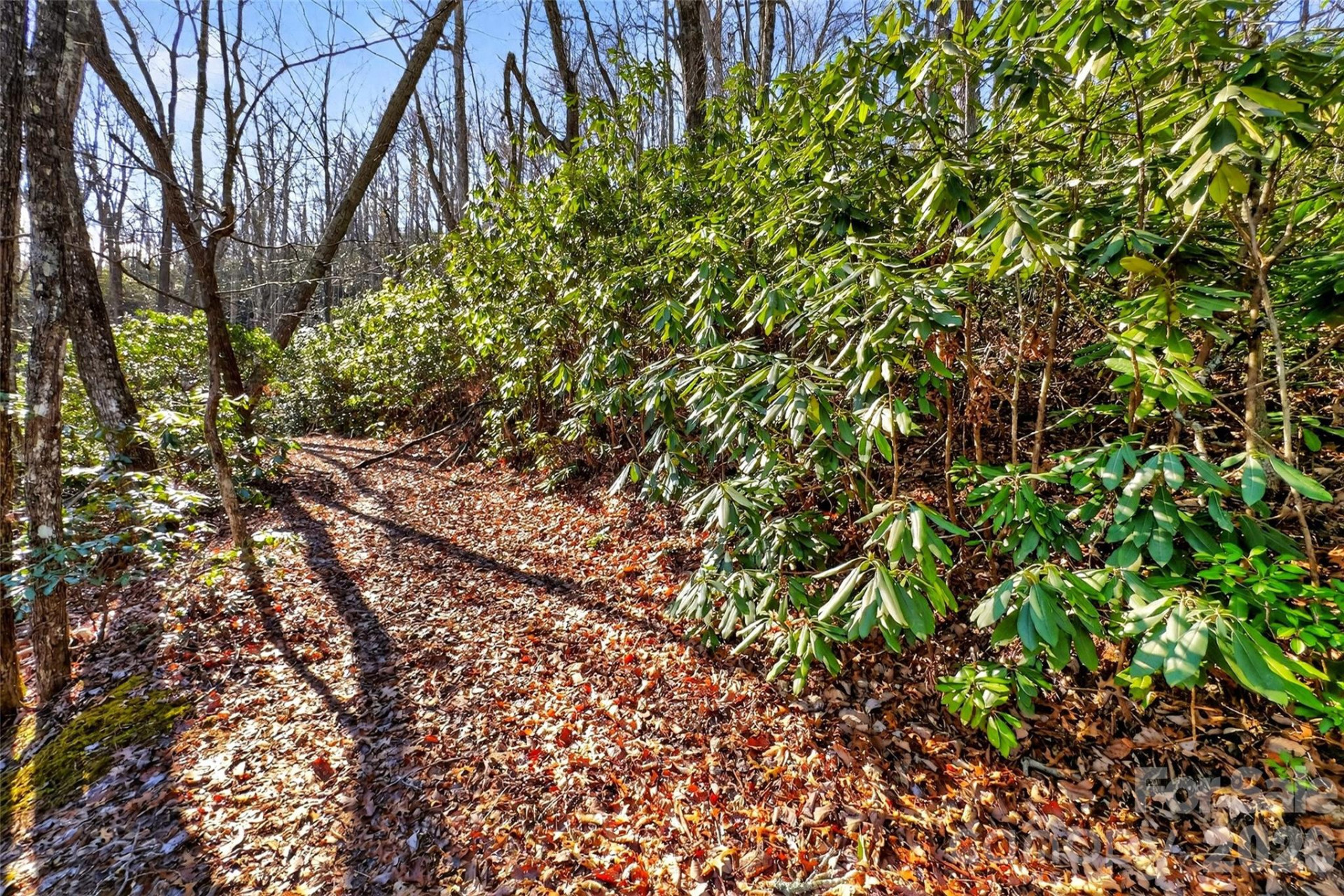 301 Black Pine Drive - Photo 23