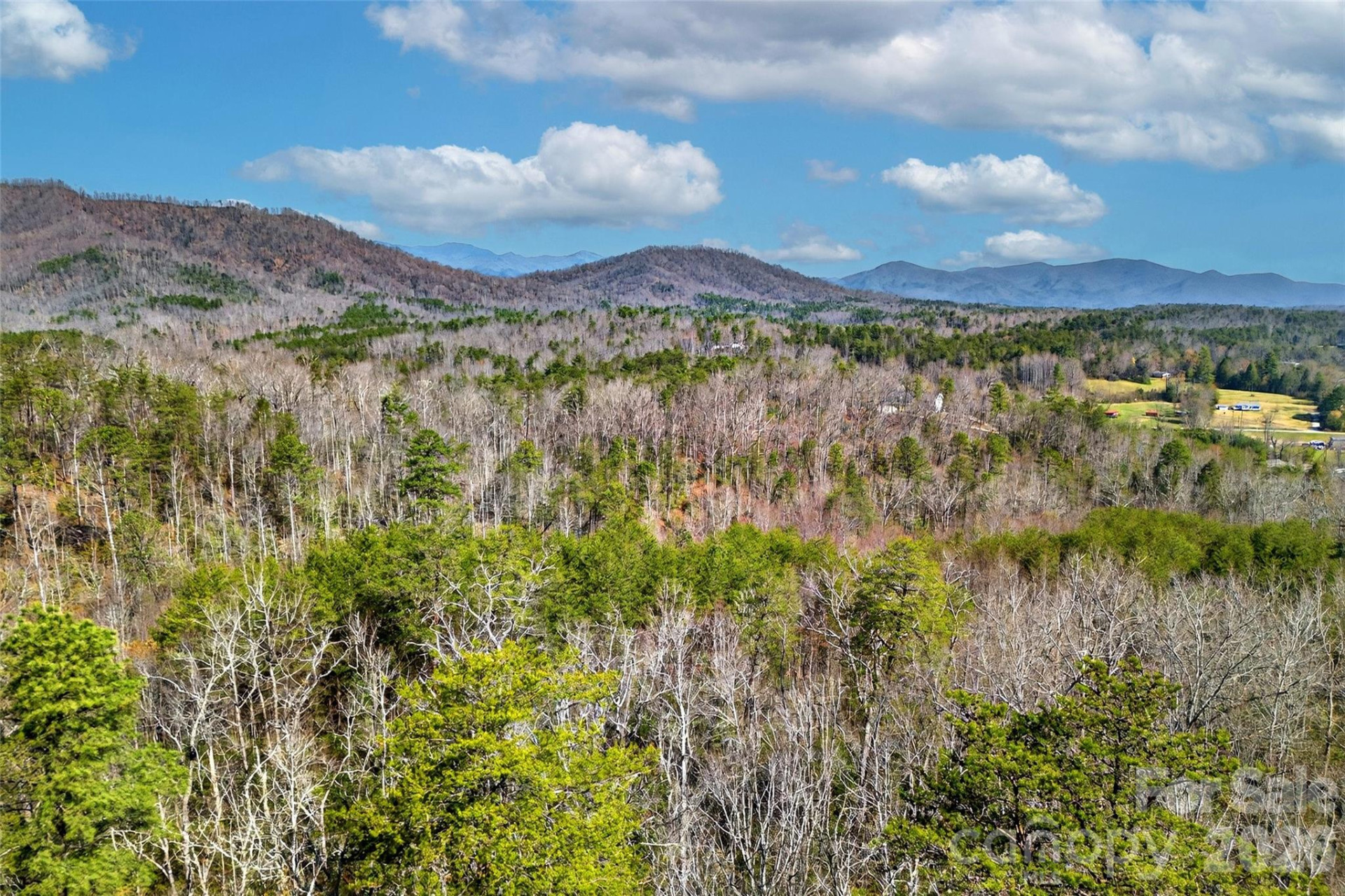 301 Black Pine Drive - Photo 5