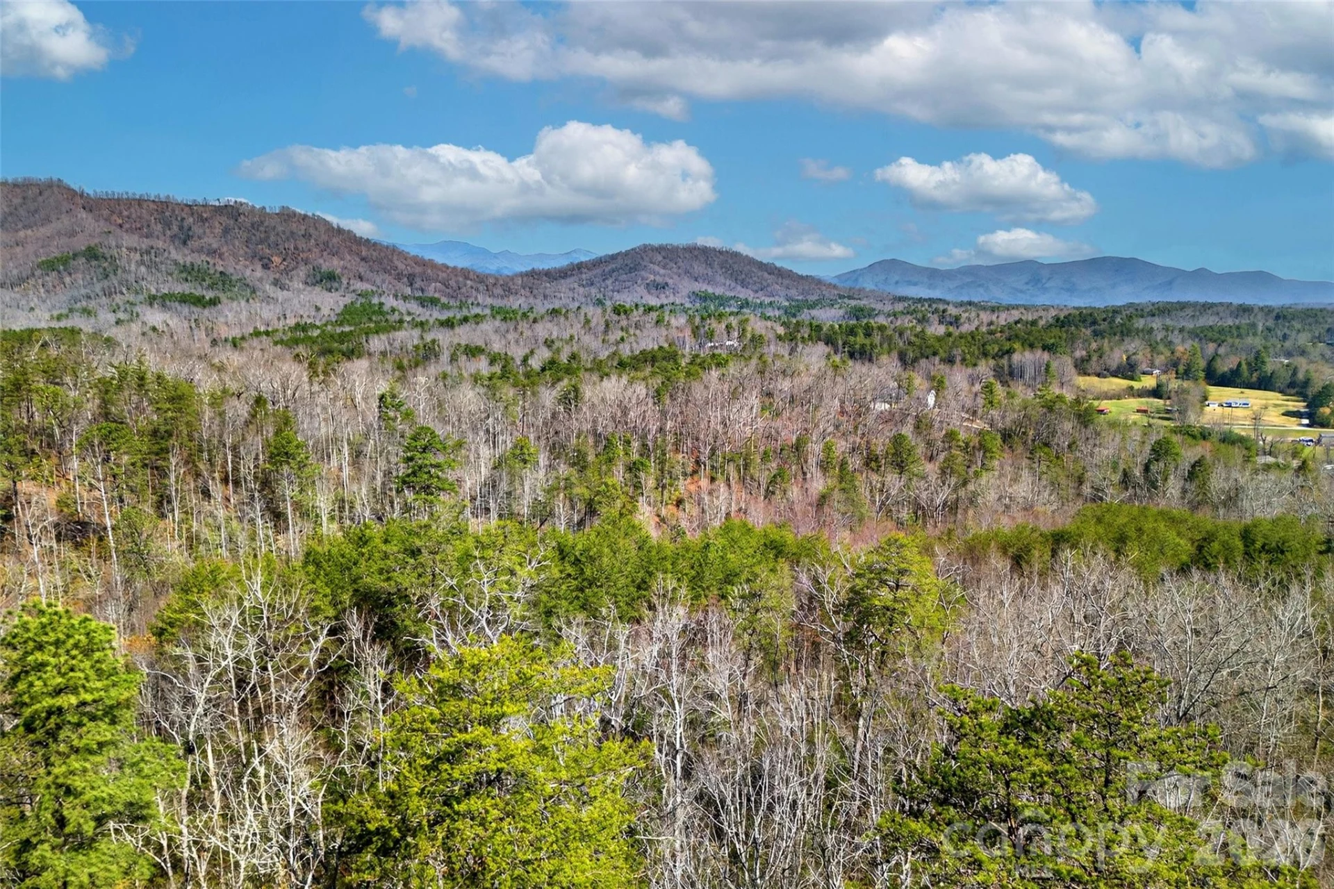 301 Black Pine Drive - Photo 5