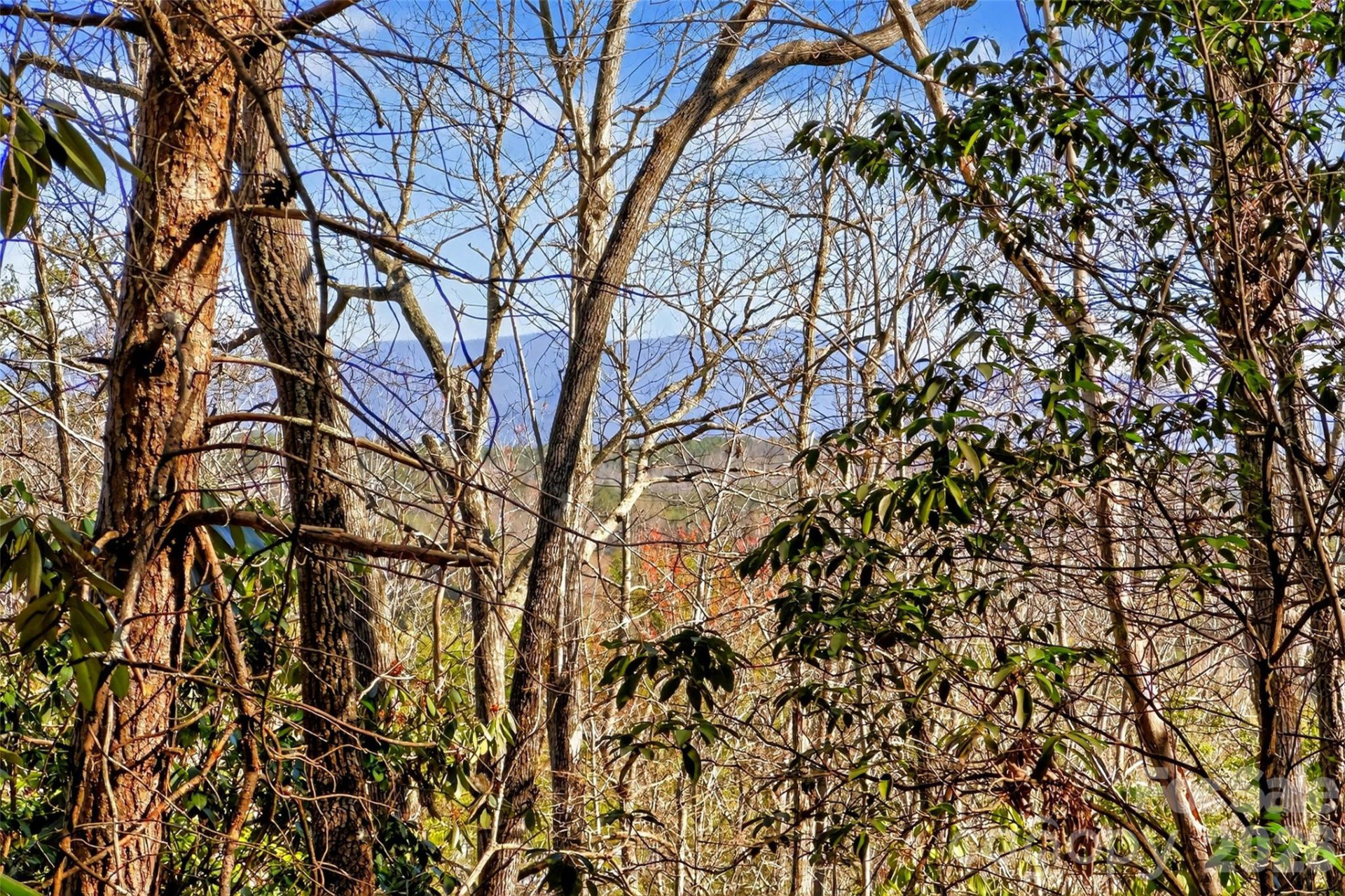 301 Black Pine Drive - Photo 8