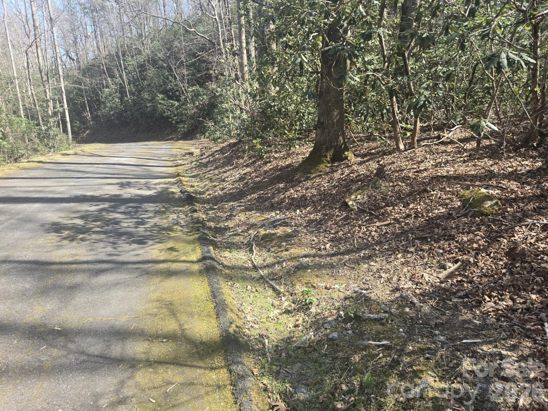 Lot 97 Mockingbird Lane