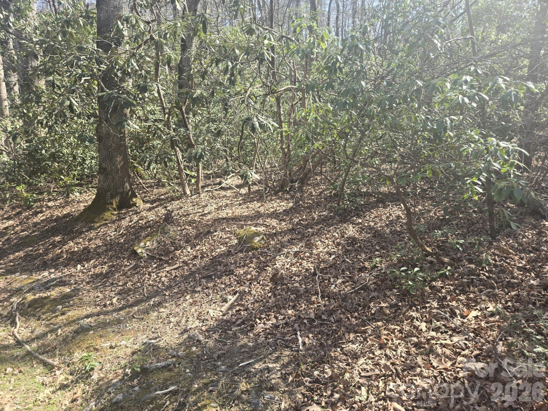 Lot 97 Mockingbird Lane - Photo 3