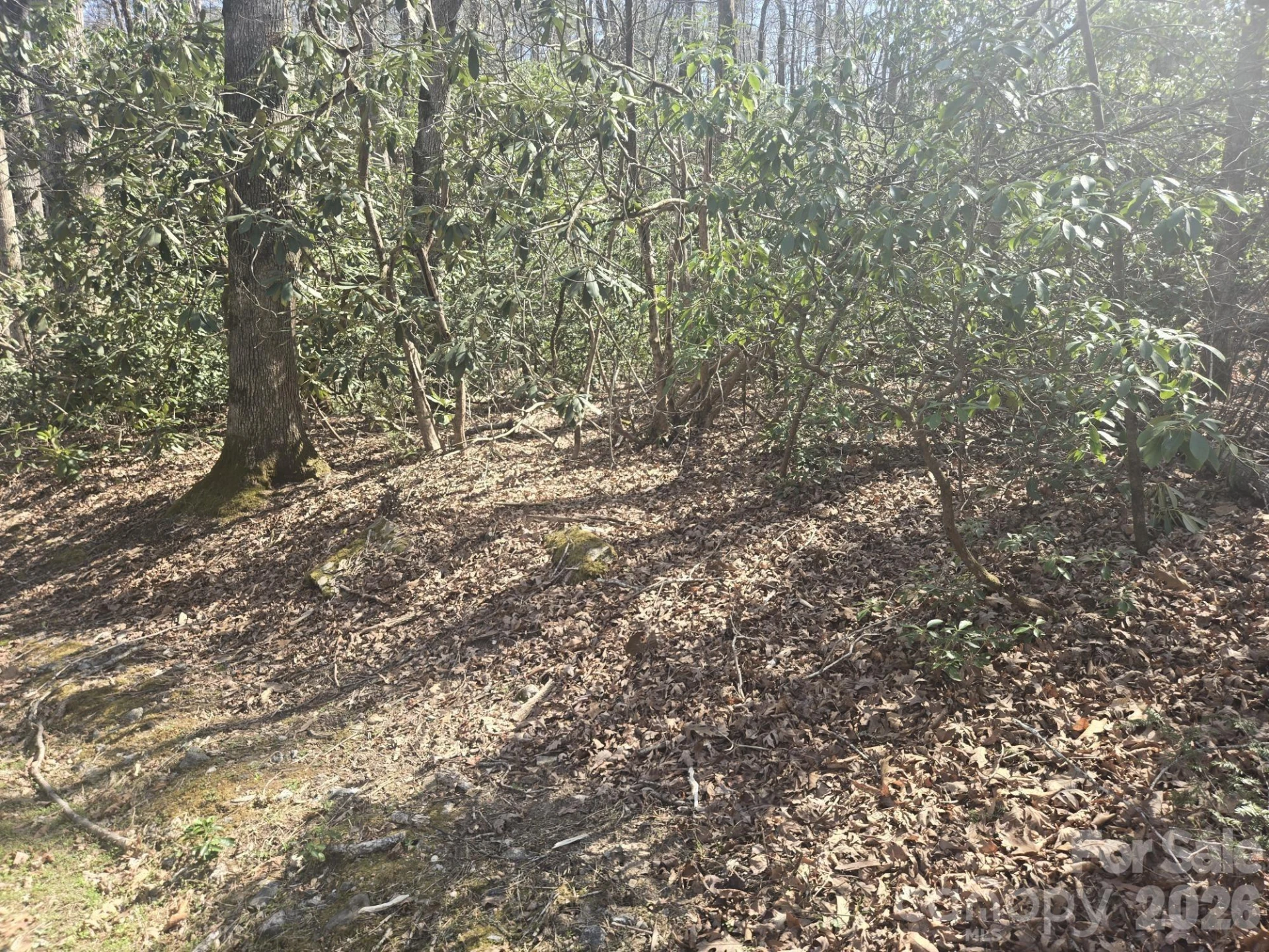 Lot 97 Mockingbird Lane - Photo 3