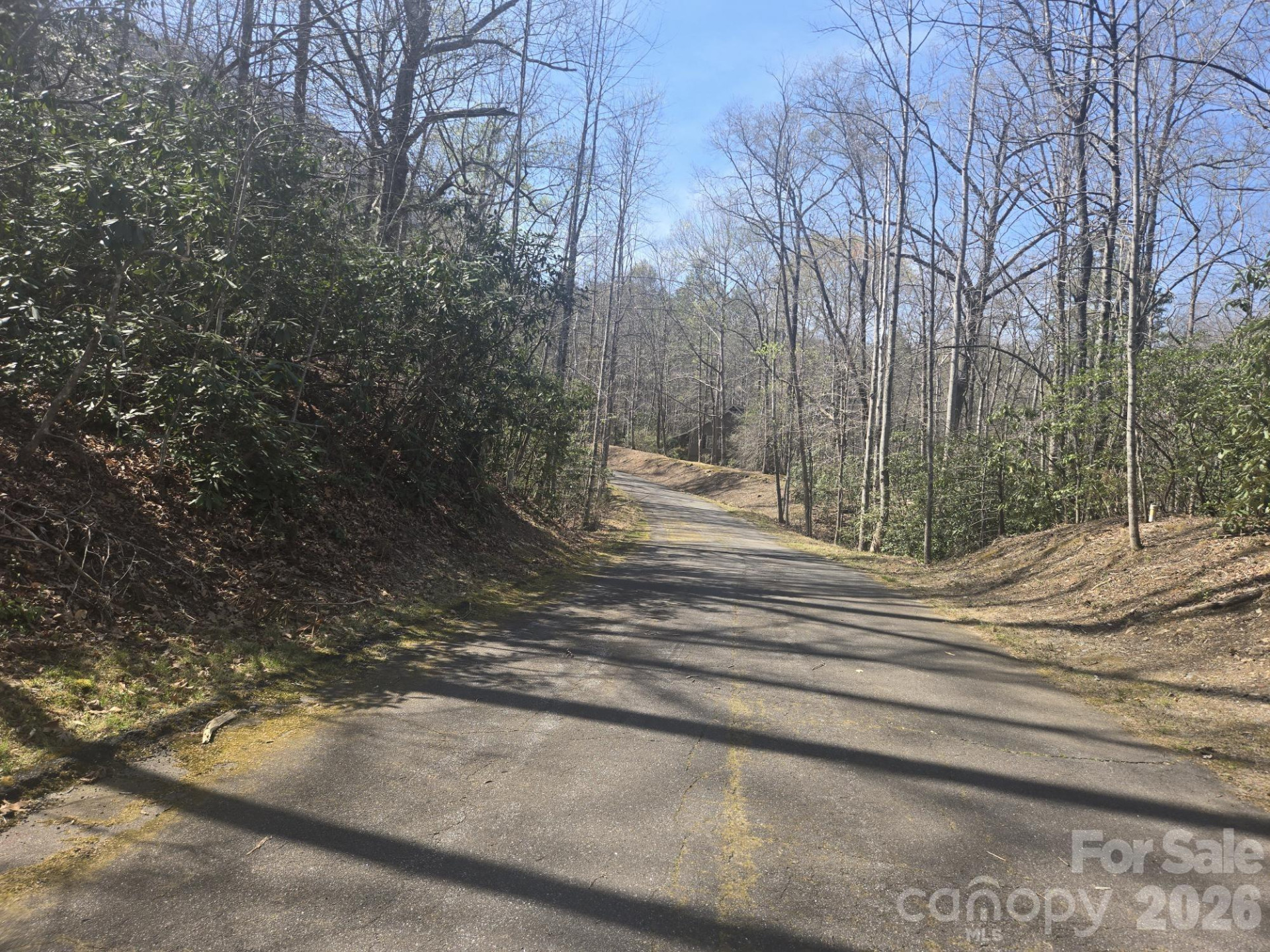 Lot 97 Mockingbird Lane - Photo 4