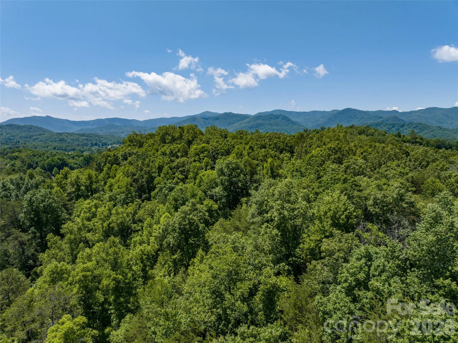 1409 US 441 Highway - Photo 20