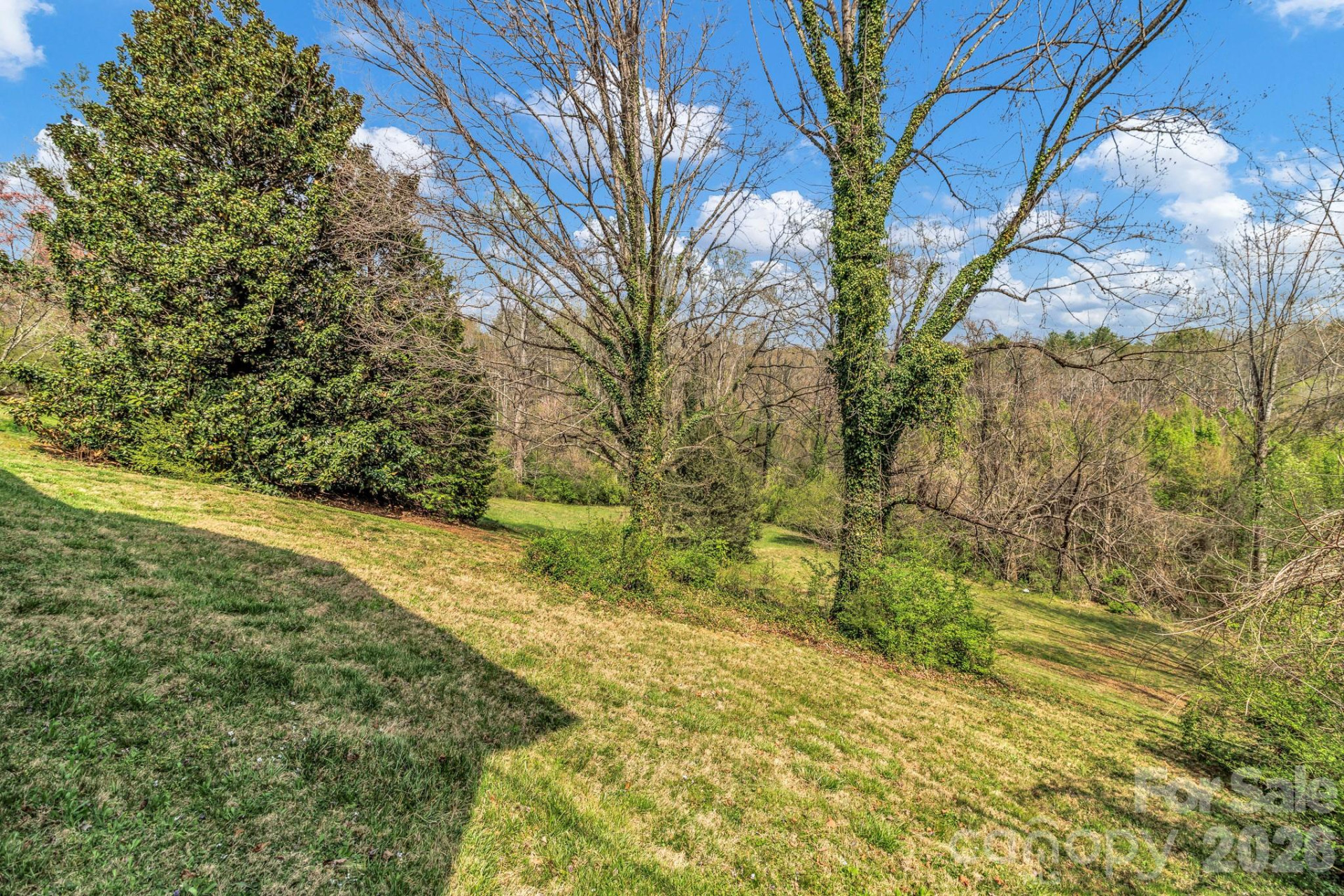 251 Reid Street - Photo 31
