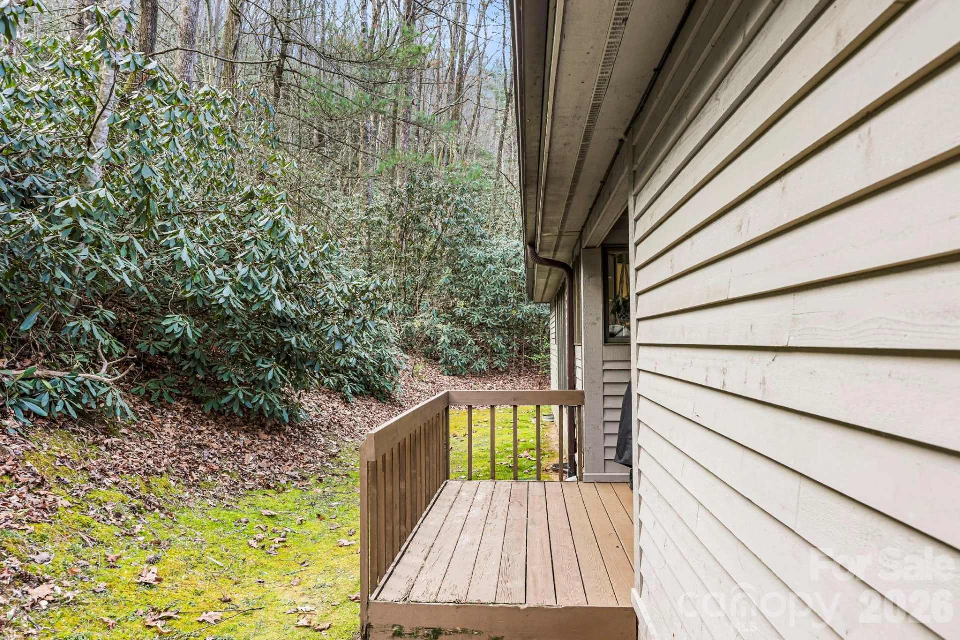 446 Silver Fox Lane - Photo 23