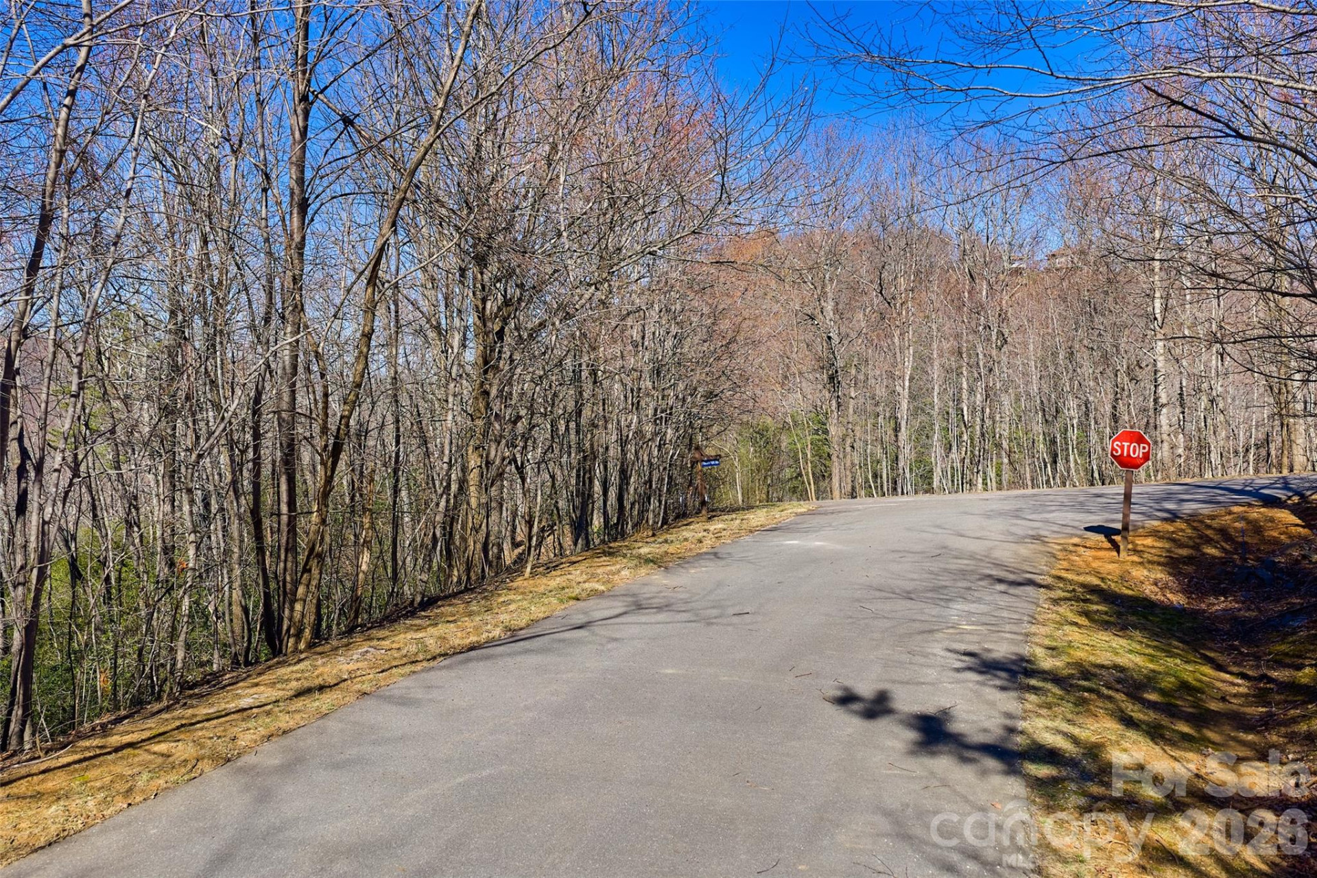 459/461 Feather Falls Trail - Photo 5