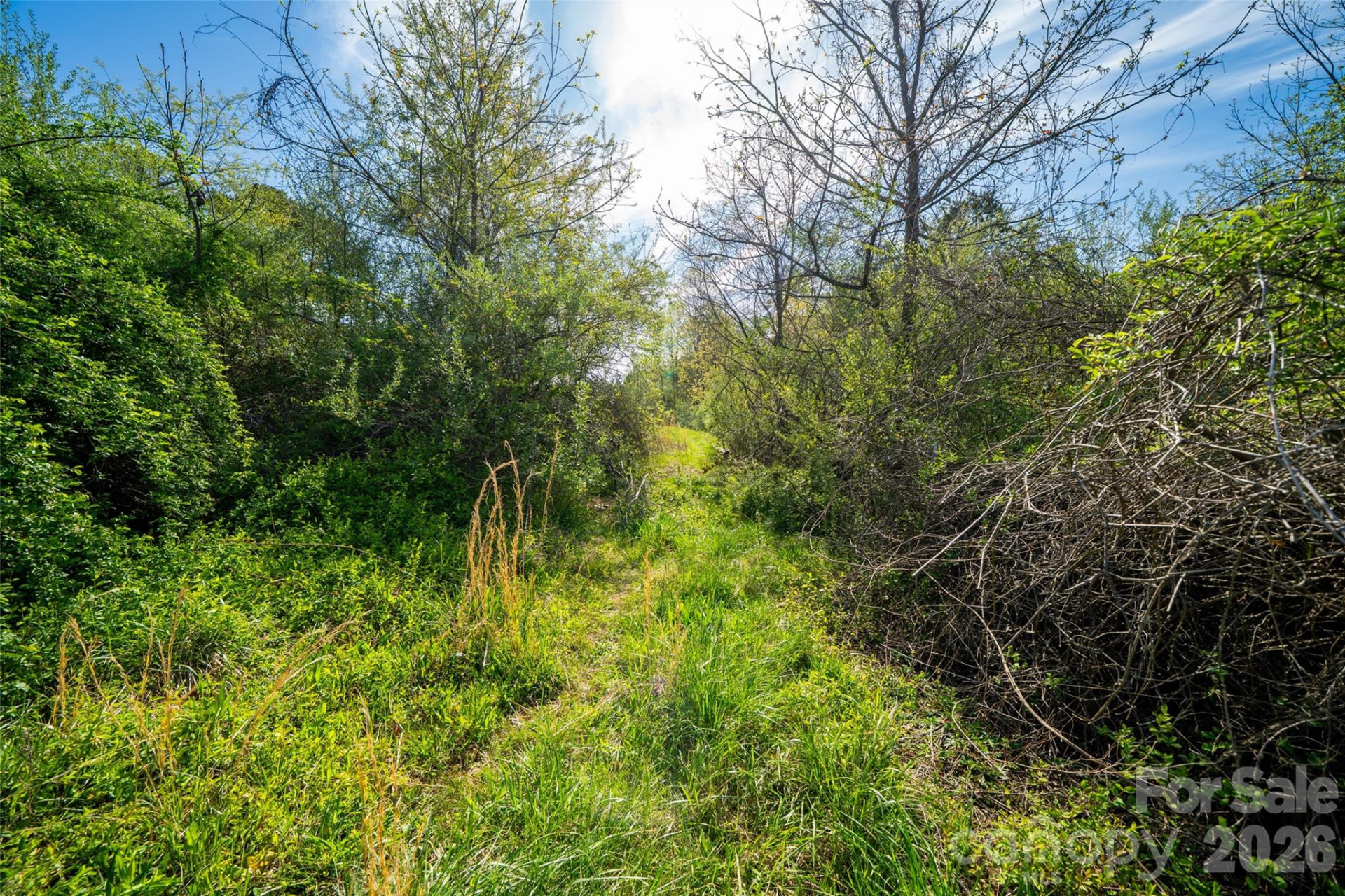 0 Old Sunset Hill Road - Photo 4