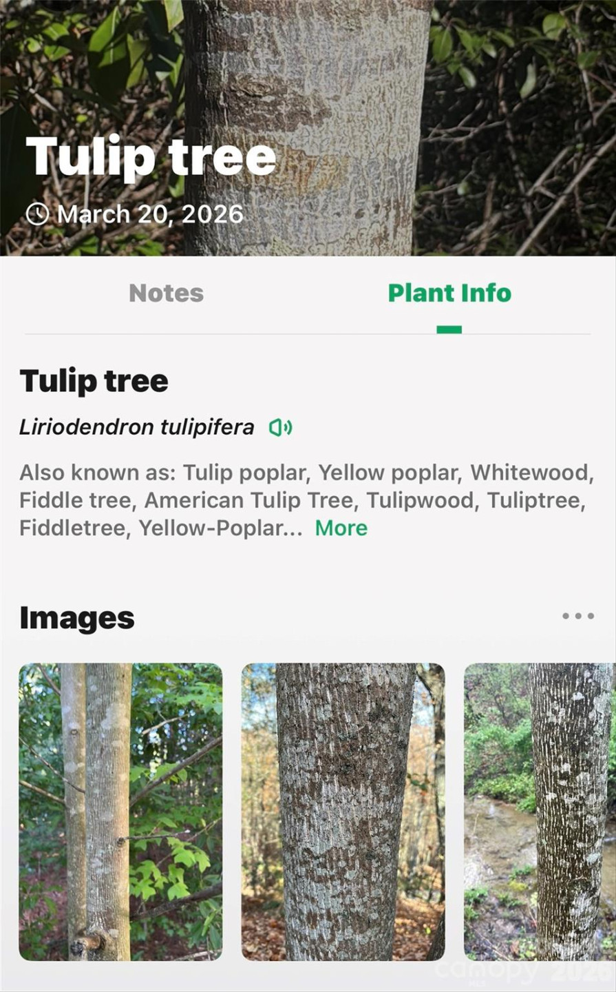 TBD Red Bird Road - Photo 12