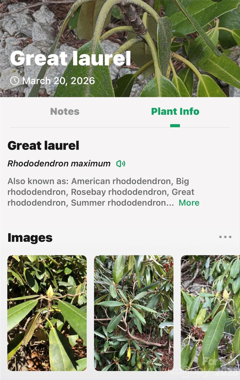 TBD Red Bird Road - Photo 13