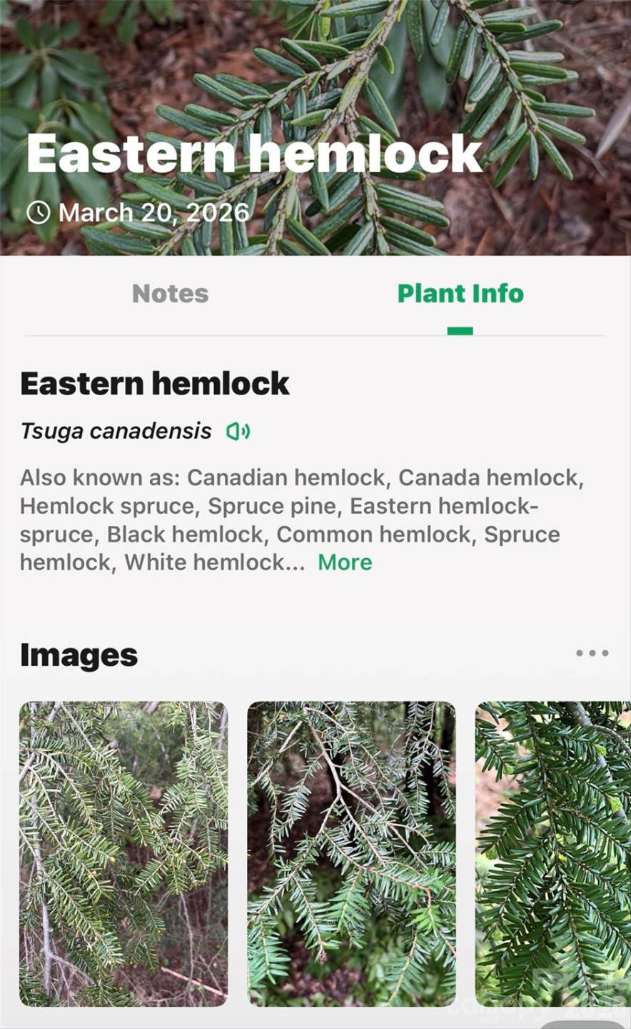 TBD Red Bird Road - Photo 14