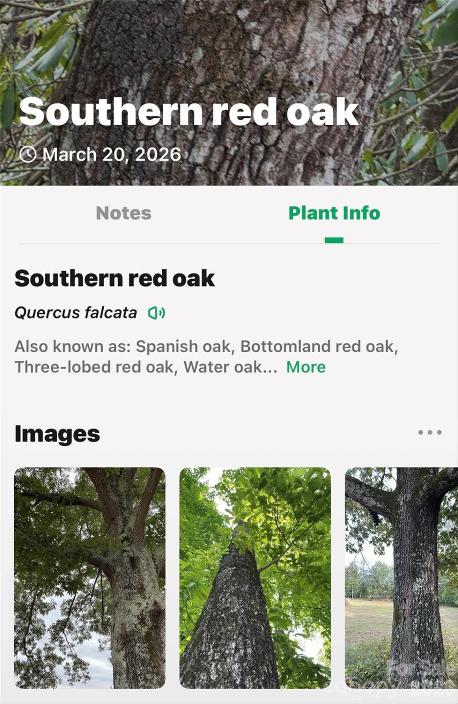 TBD Red Bird Road - Photo 15