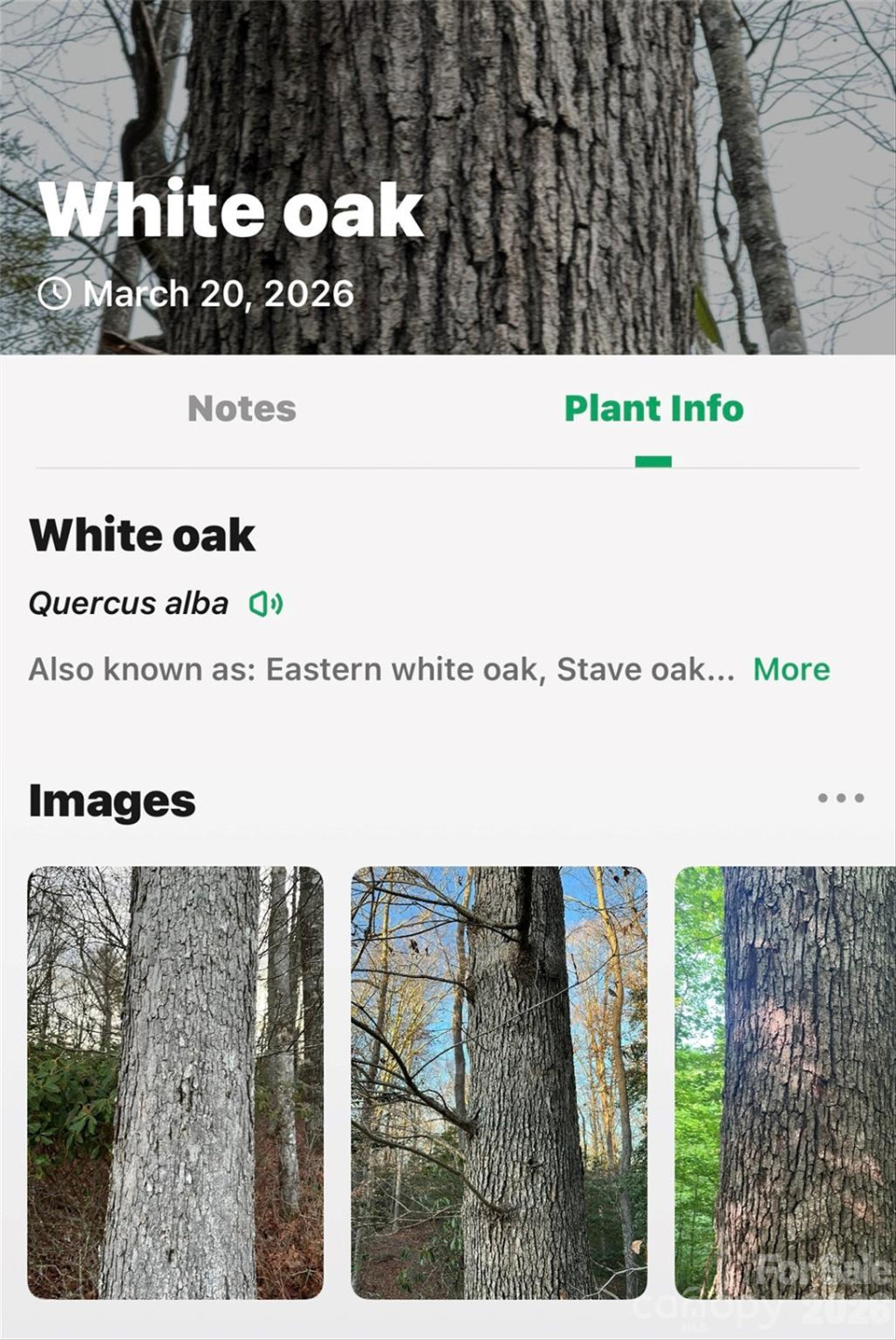 TBD Red Bird Road - Photo 16