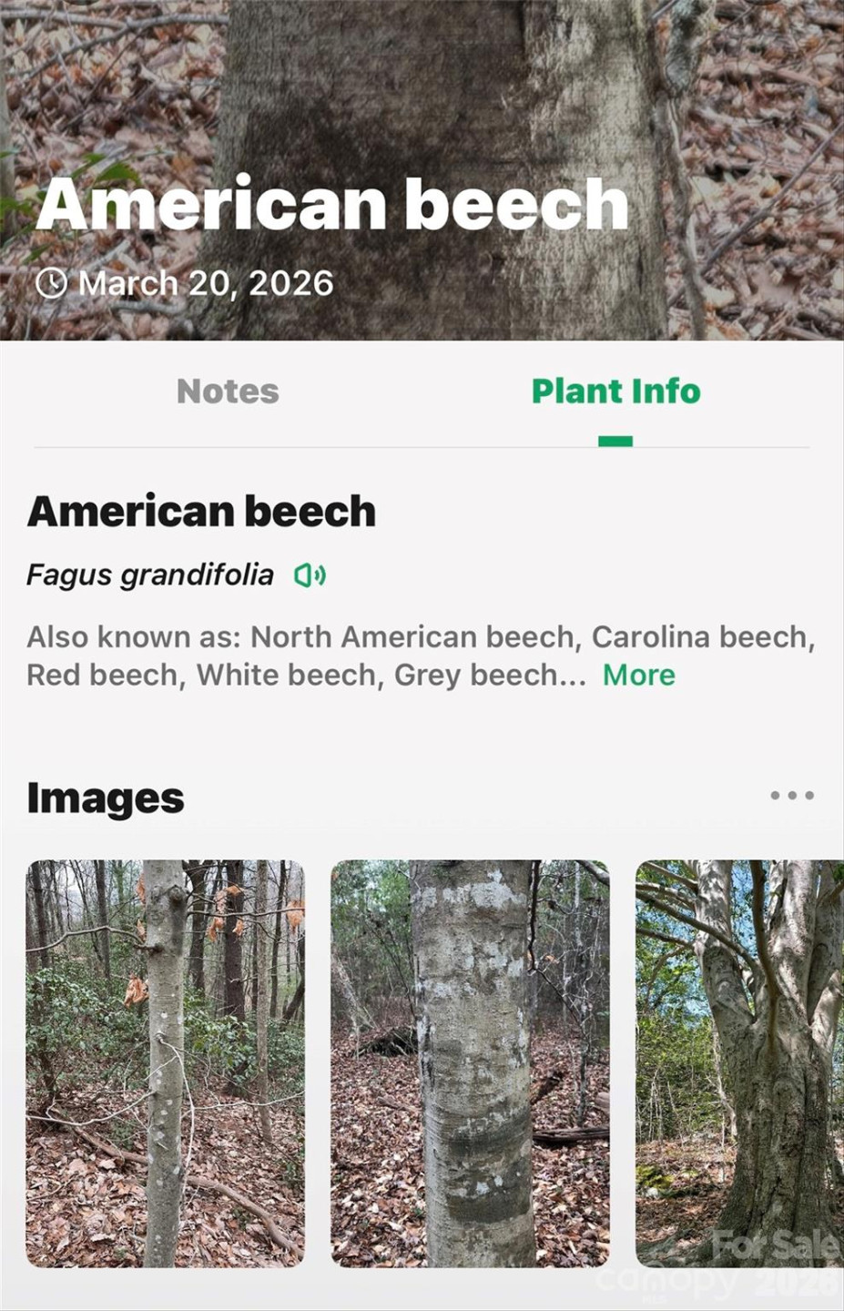 TBD Red Bird Road - Photo 17