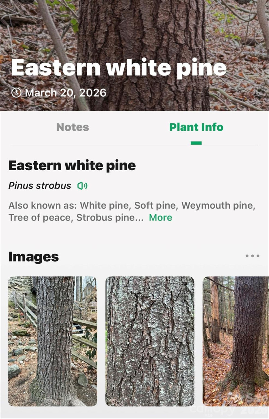 TBD Red Bird Road - Photo 18