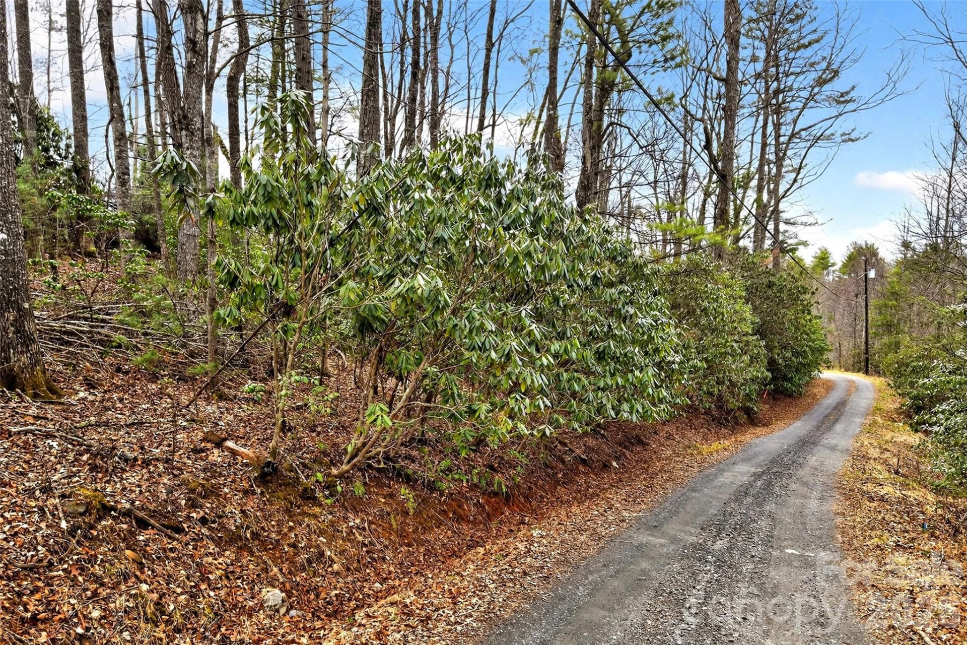 TBD Red Bird Road - Photo 4