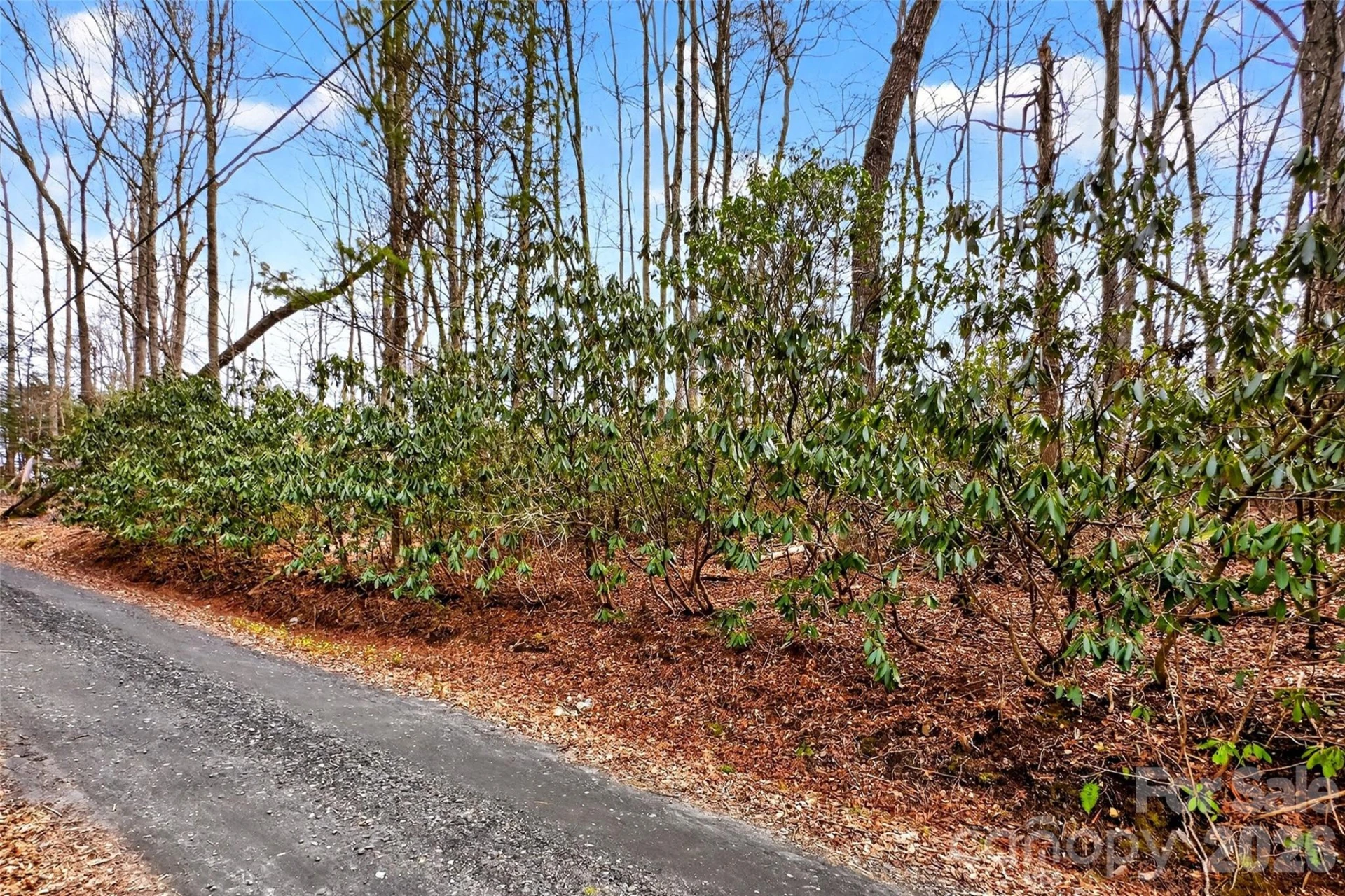 TBD Red Bird Road - Photo 5