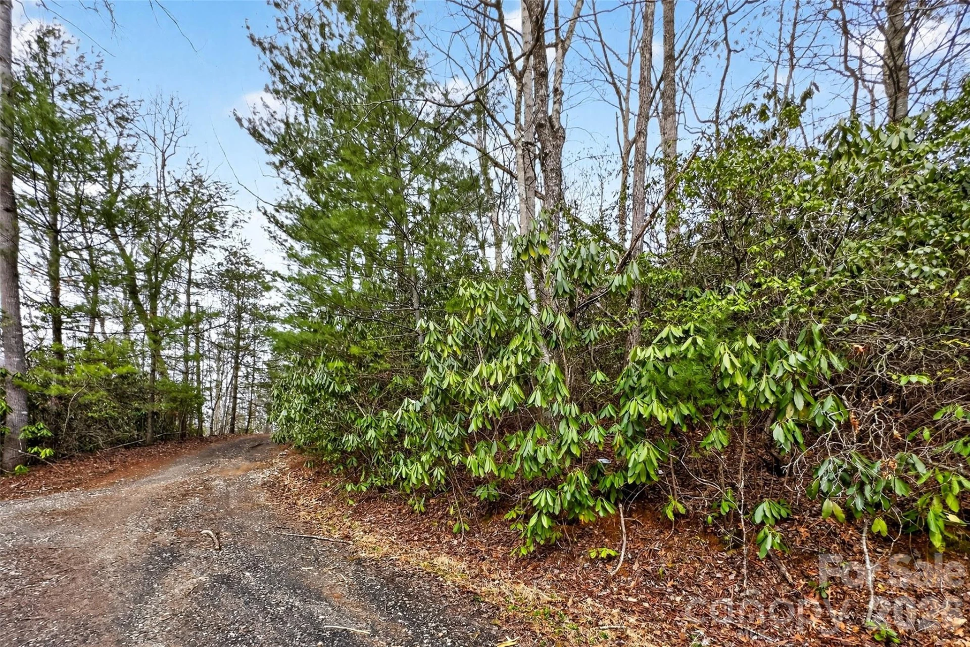 TBD Red Bird Road - Photo 7
